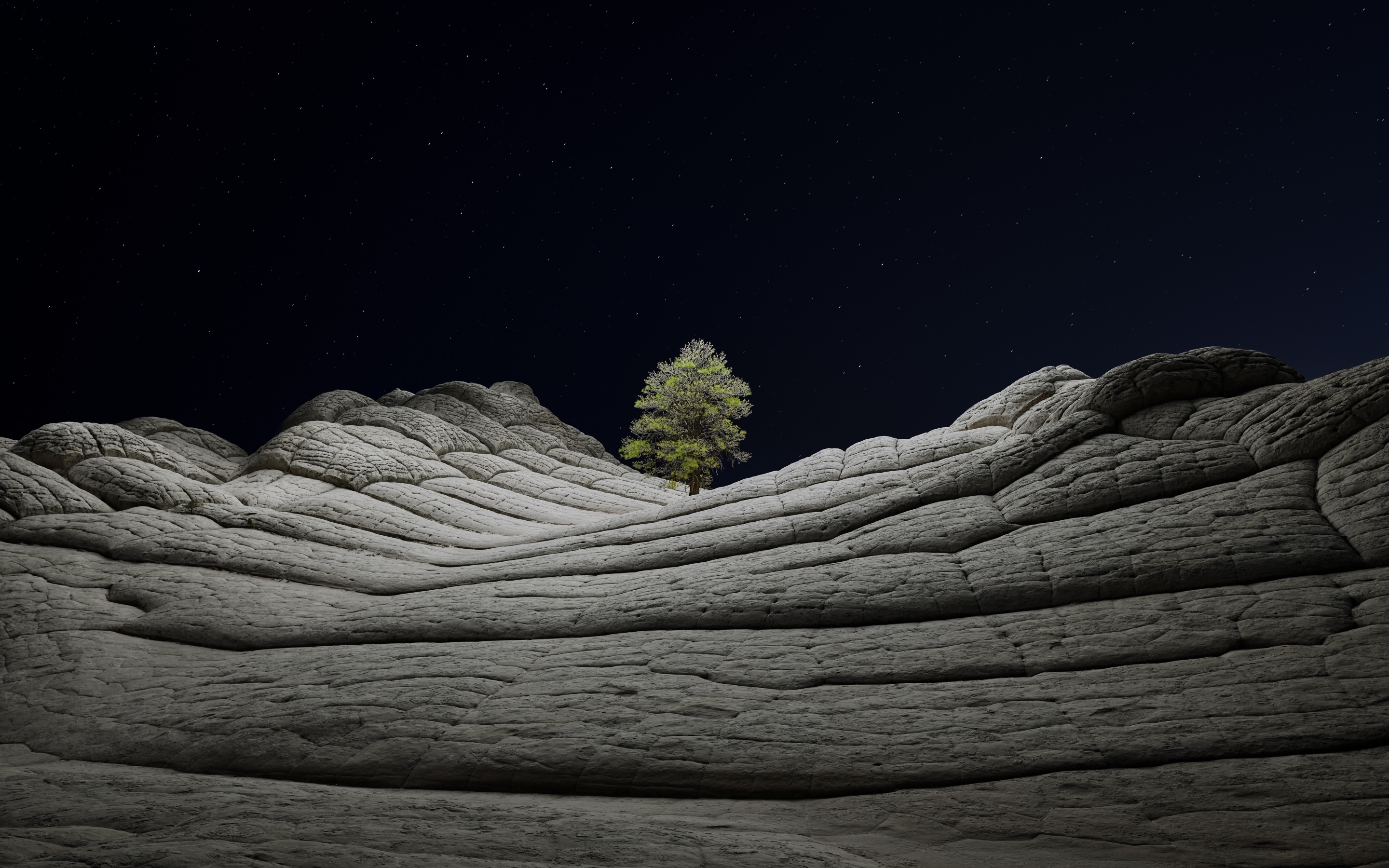 macOS Big Sur 4K Wallpaper, Stock, Night, Lone tree, Sedimentary rocks