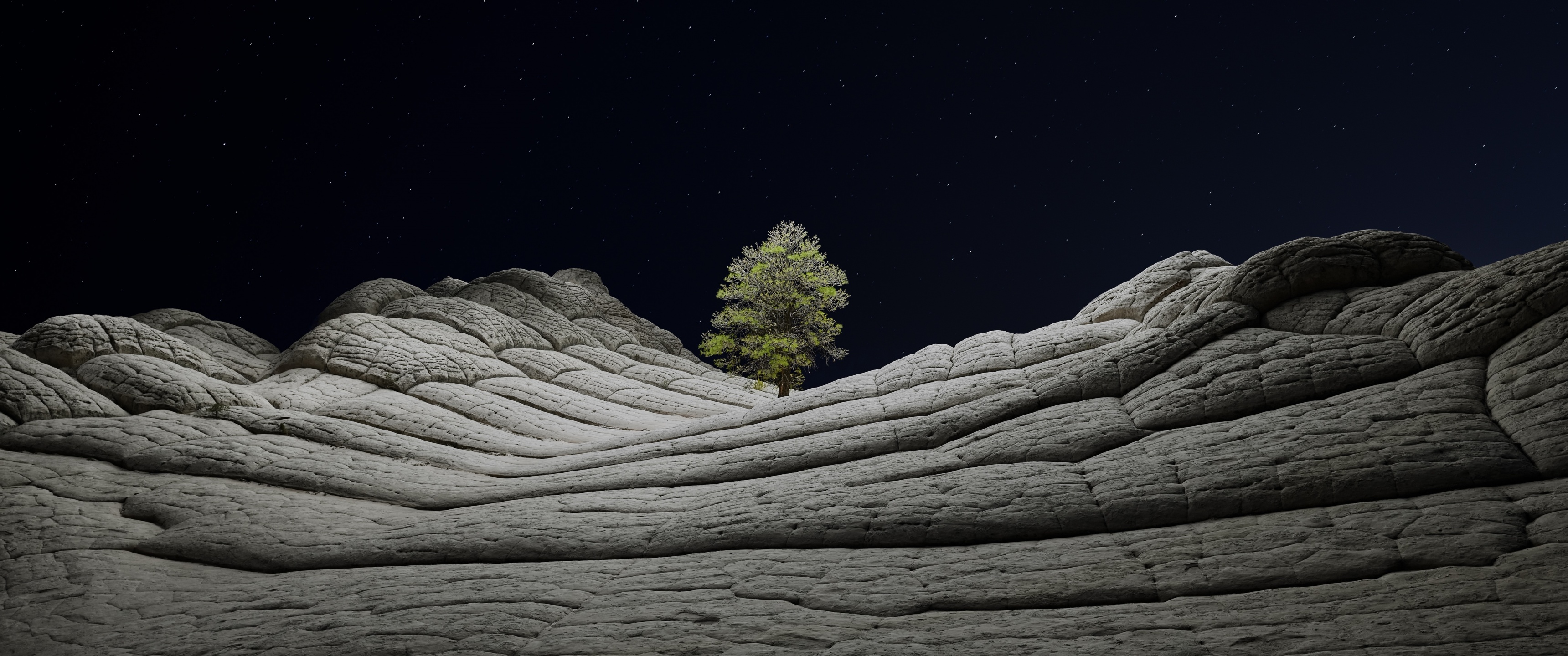 macOS Big Sur Wallpaper 4K, Stock, Night, Lone tree, Nature, #3776