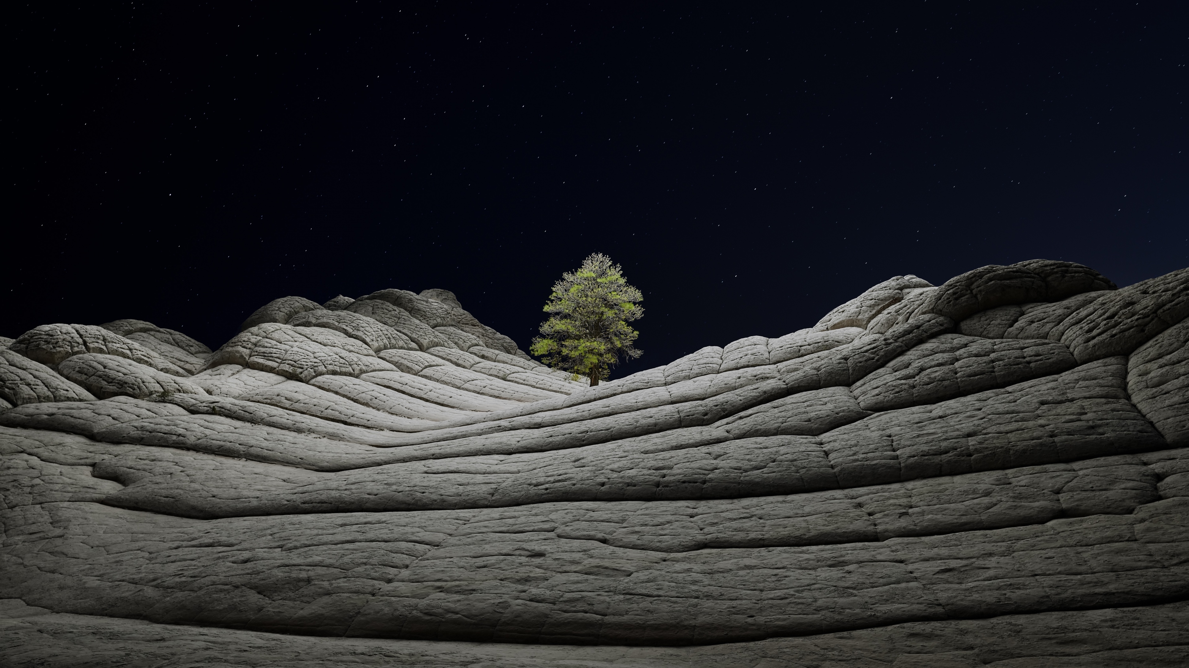 macOS Big Sur Wallpaper 4K, Stock, Night, Lone tree, Sedimentary rocks