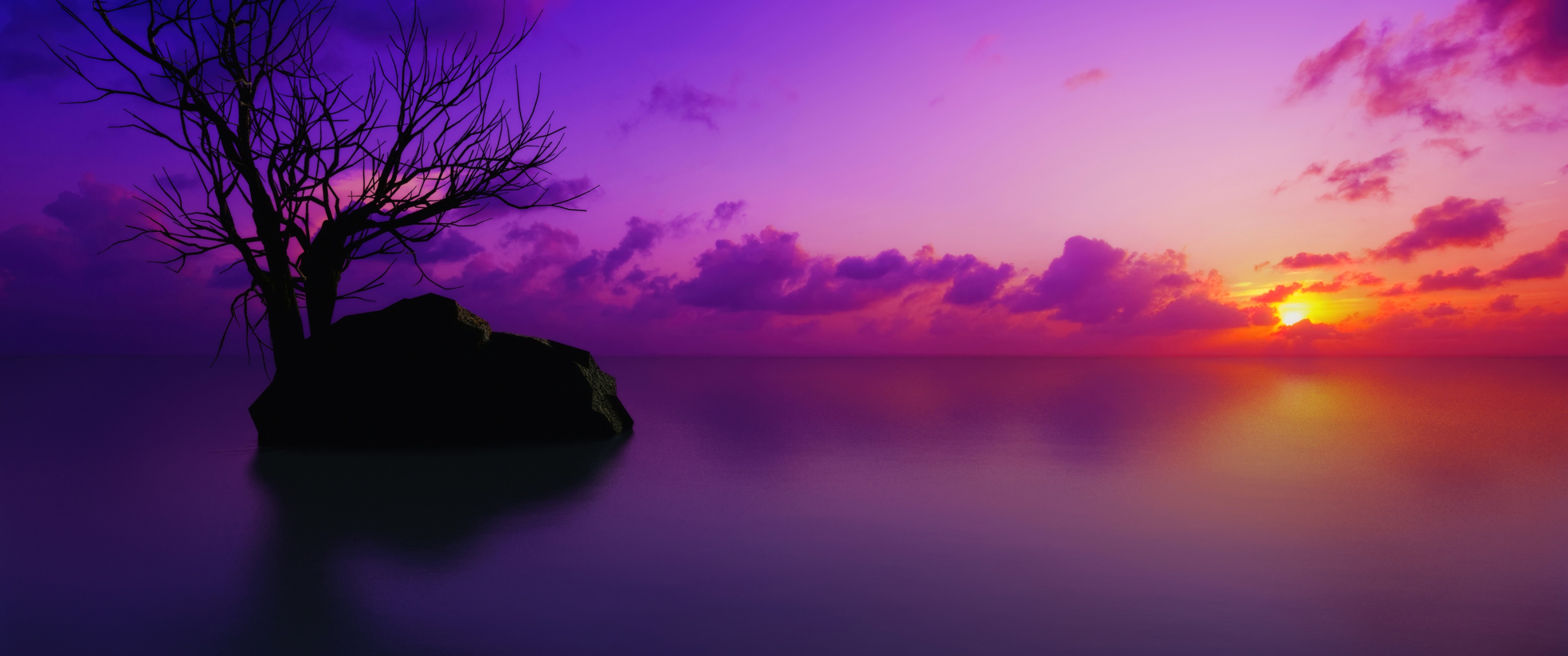Maldives Wallpaper 4K, Sunset, Lone tree, Purple sky, Clouds, Sun, Dusk