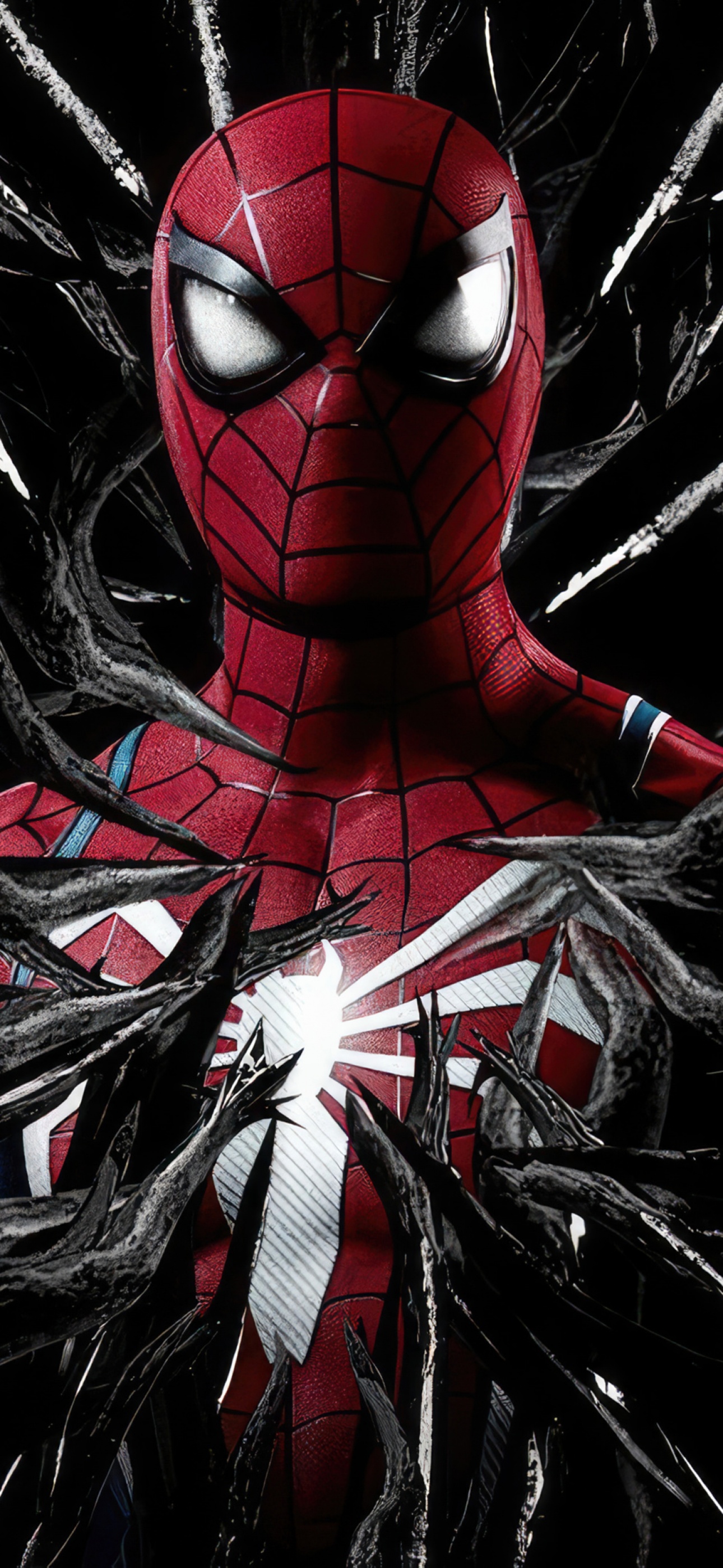 Spider-Man: Across the Spider-Verse Wallpaper 4k