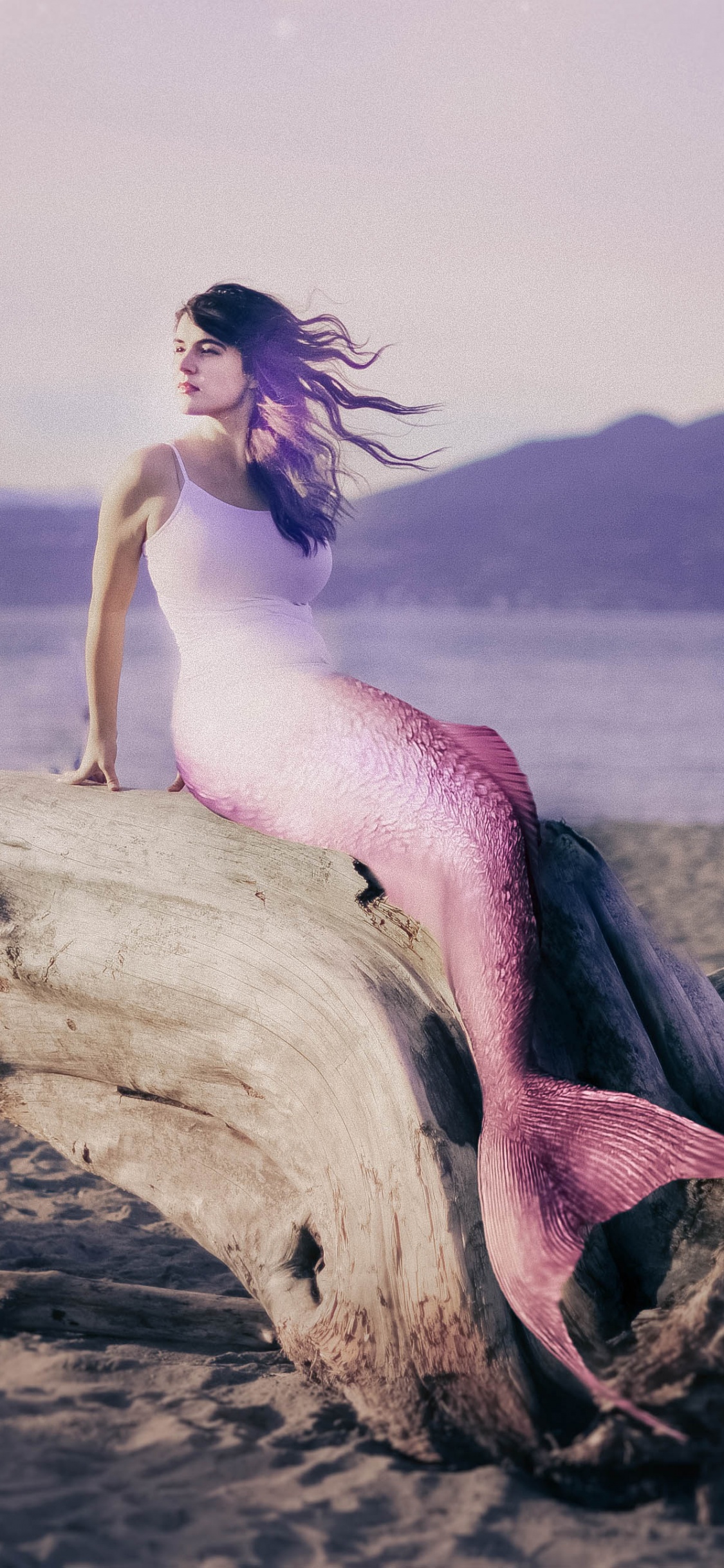 Mermaid Wallpaper Pictures  Download Free Images on Unsplash