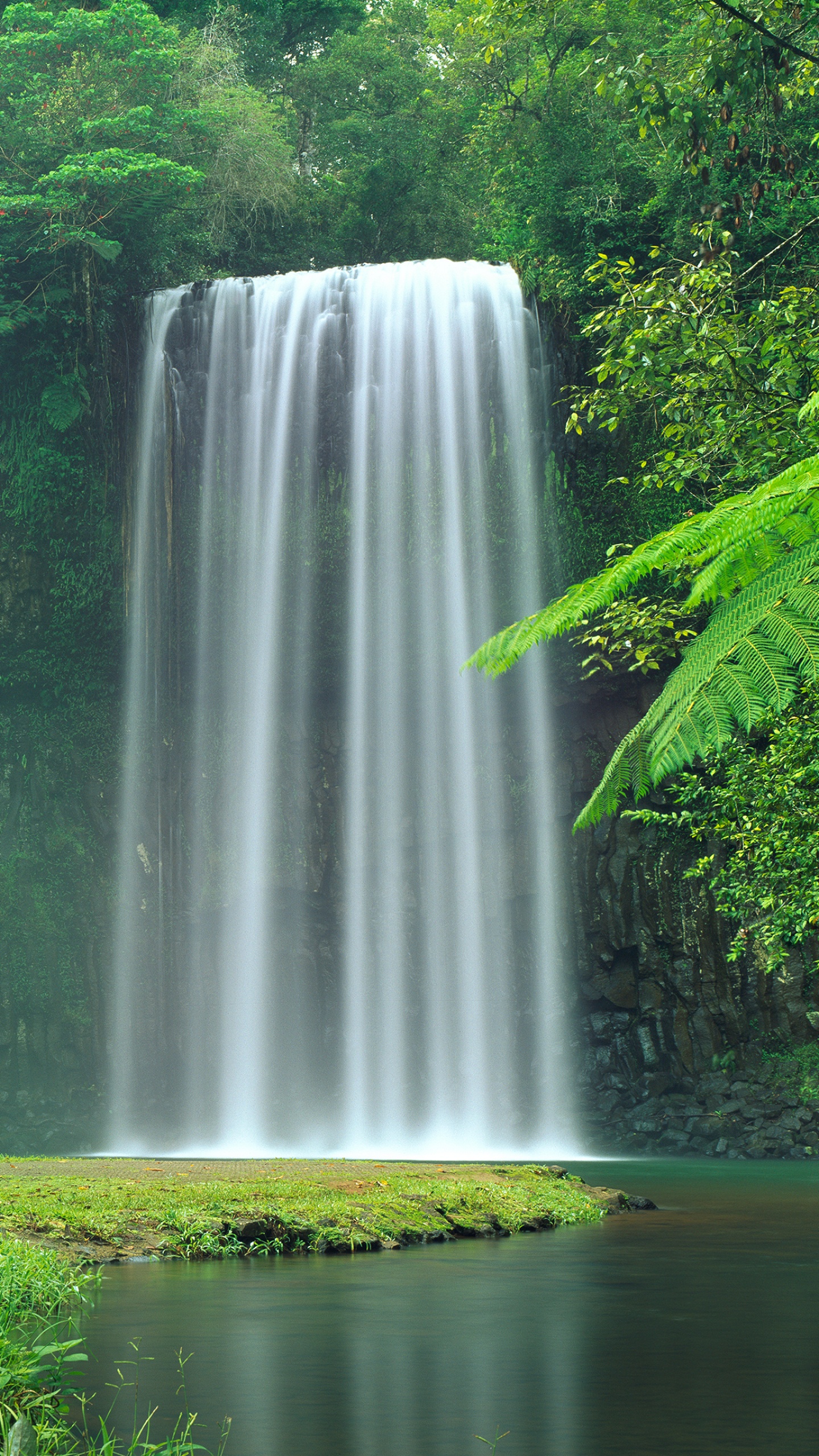 Закачать ее на телефон. Красивые водопады. Живая природа водопады. Заставки на телефон природа. Водопад картинки.