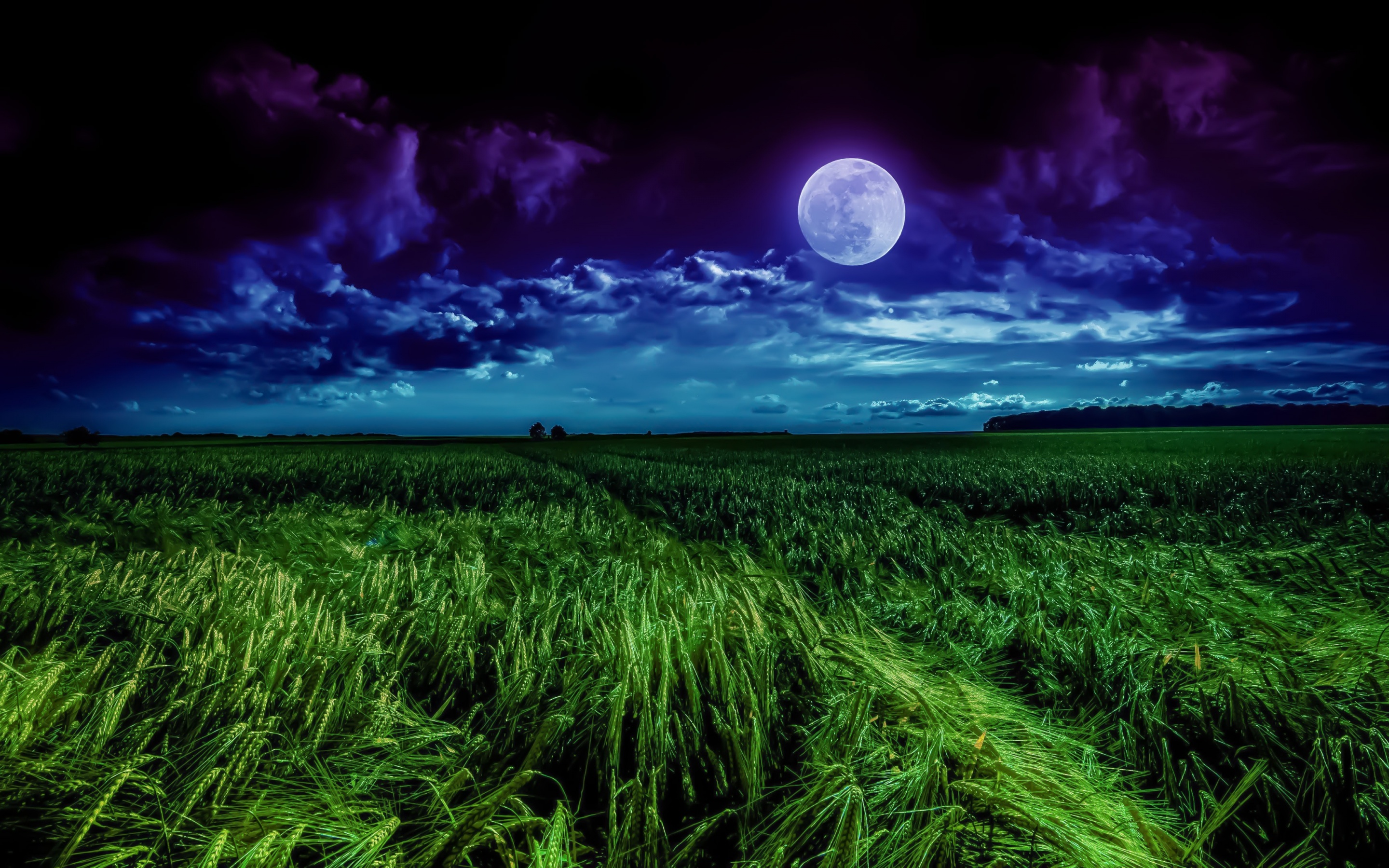 Moon Wallpaper 4K, Landscape, Night, Field, Nature, #1016