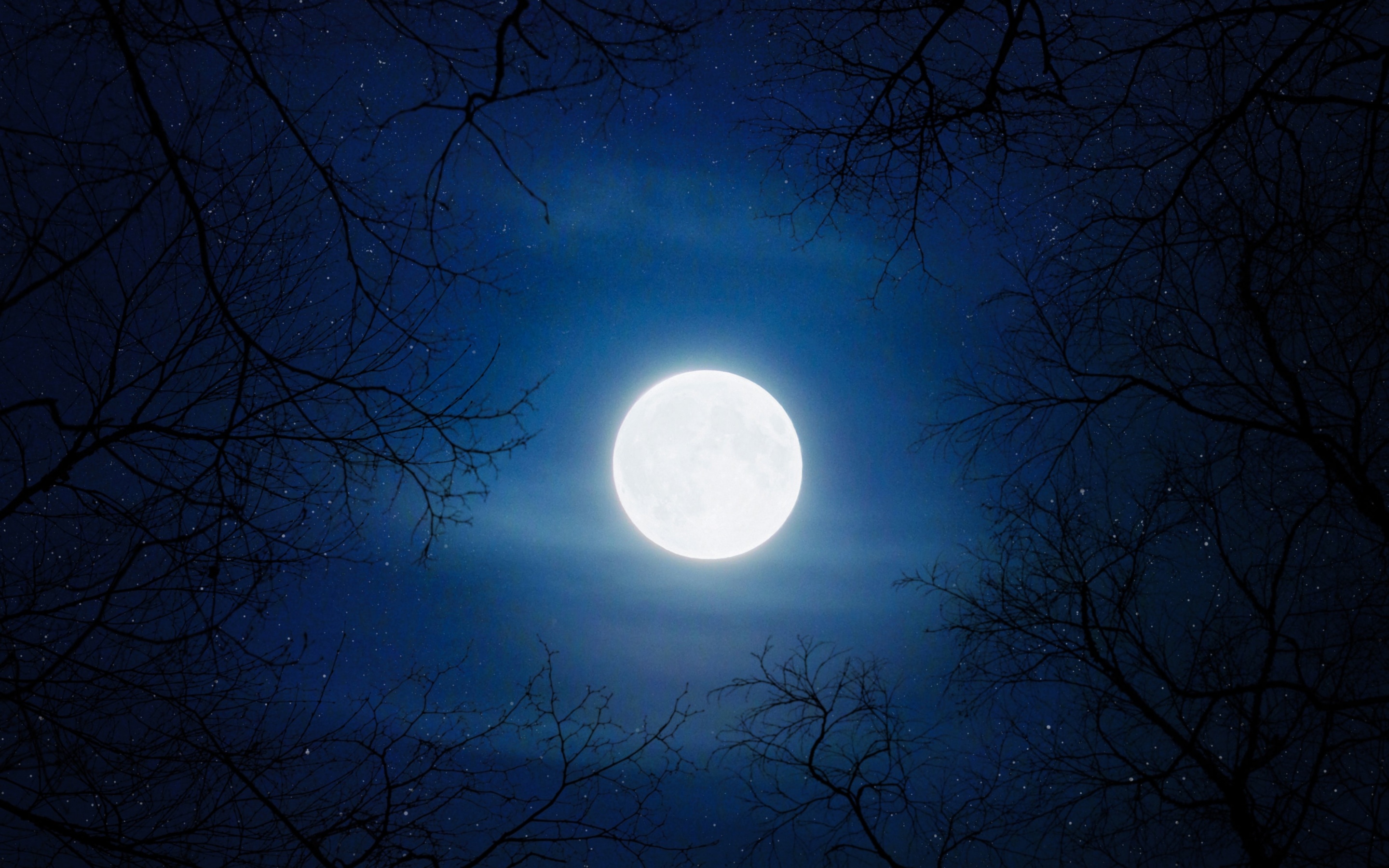 Moon Wallpaper 4K, Night, Cold, Trees, Blue sky, Full moon, Nature, #1093
