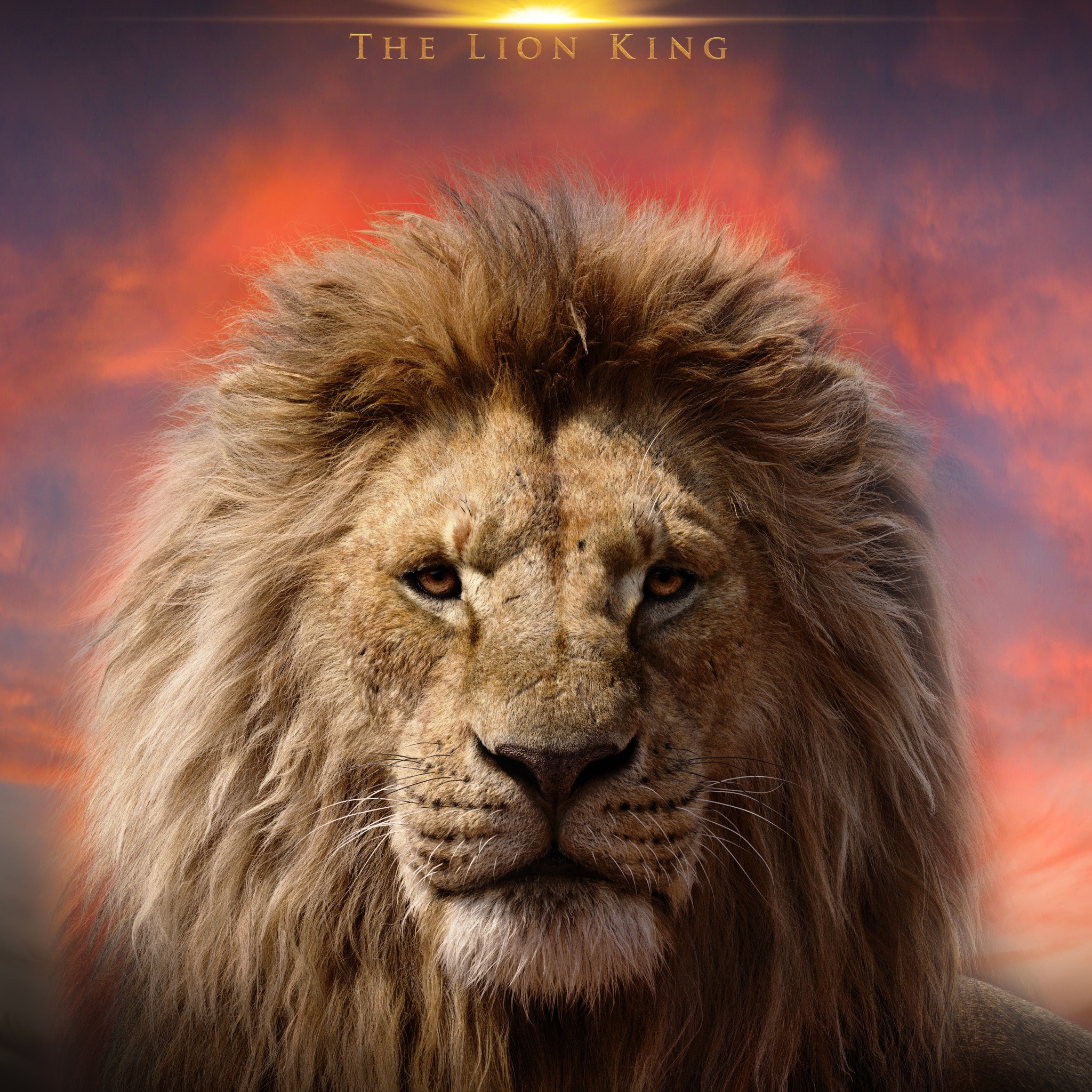 Mufasa The Lion King Wallpaper 4K 2024 Movies Disney 5K 8781