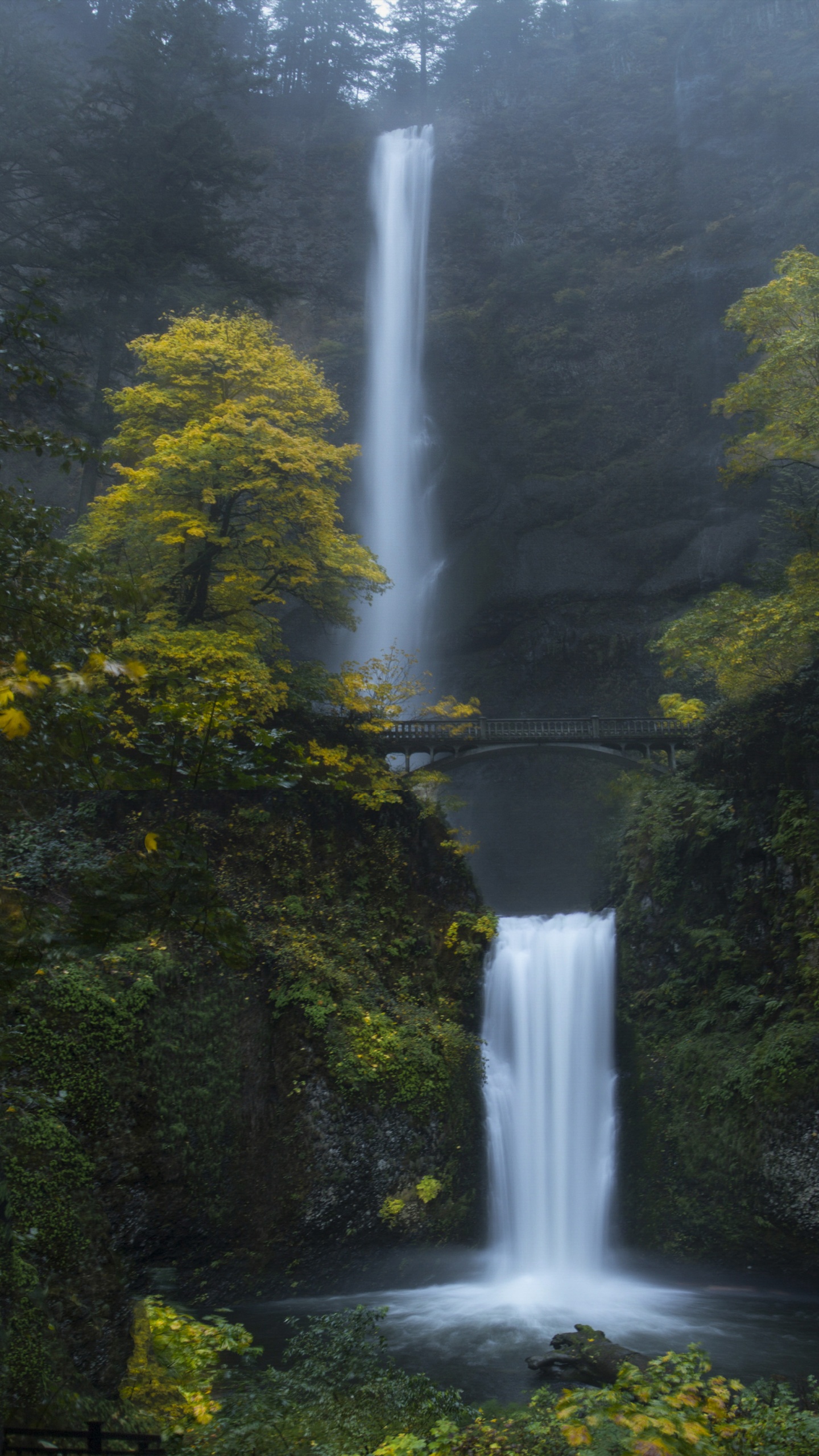 Travel Oregon HD Wallpaper, HD Artist 4K Wallpapers, Images and Background  - Wallpapers Den