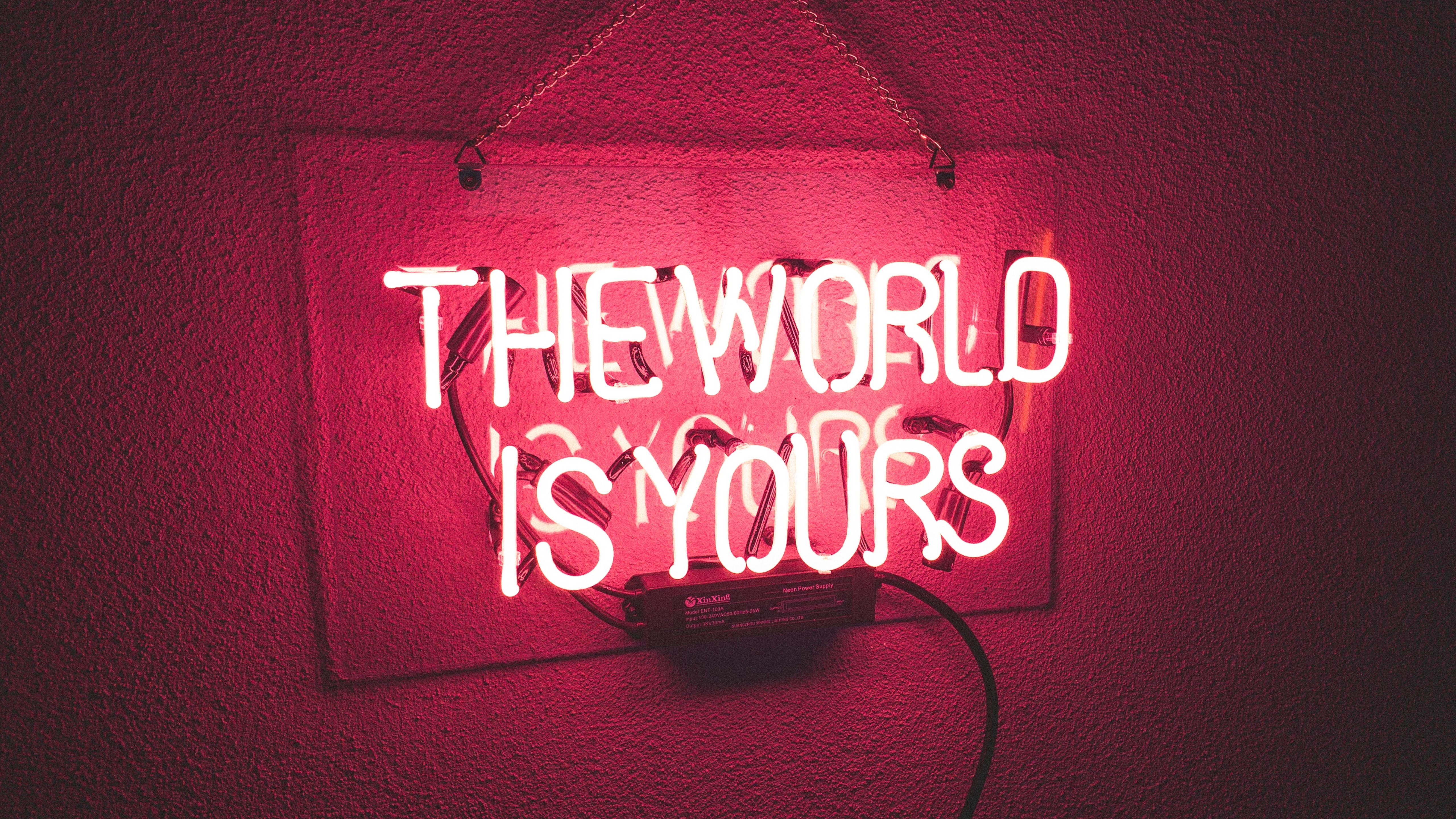 Neon Red Pictures  Download Free Images on Unsplash