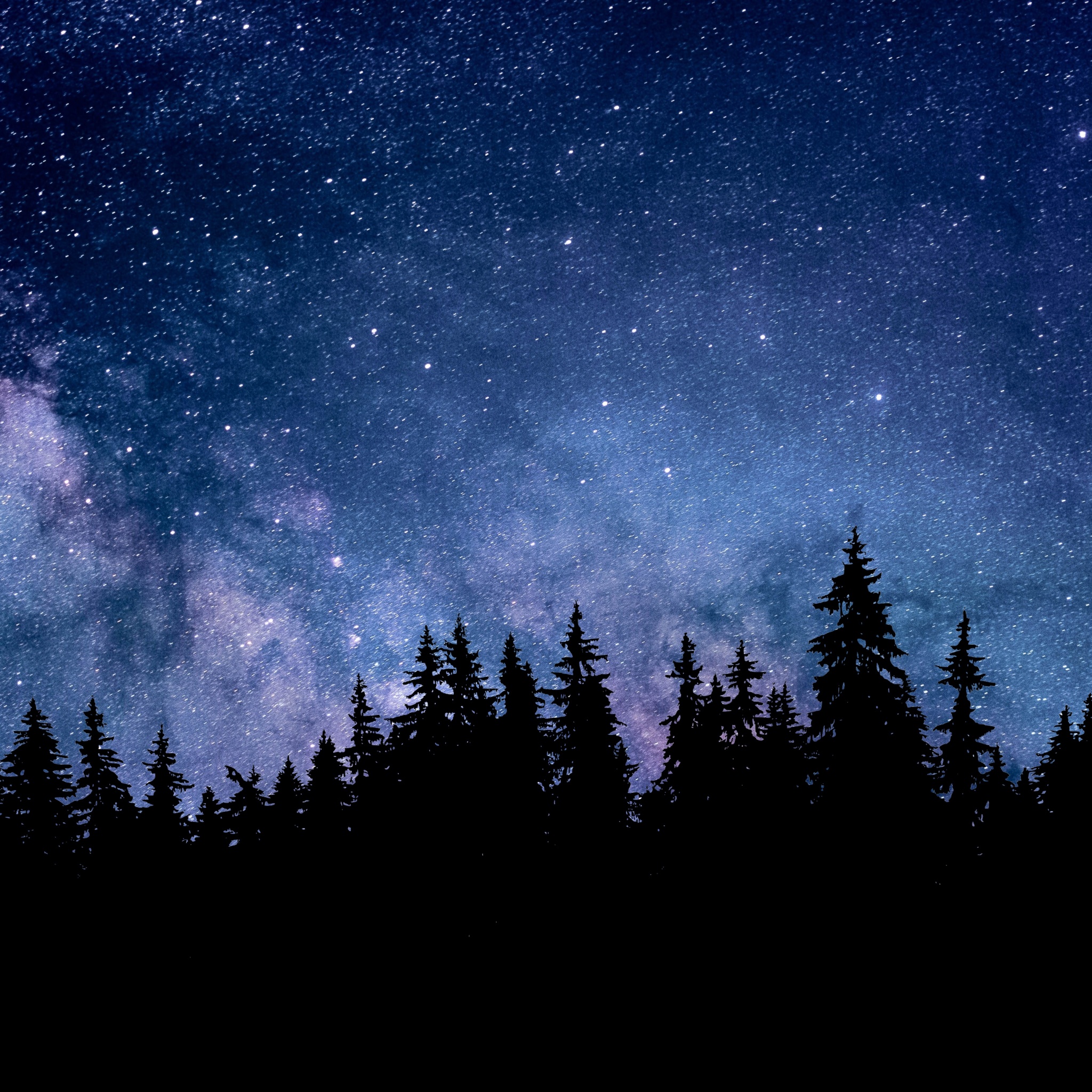 Night Wallpaper 4K, Starry sky, Forest, Silhouette, Astronomy, Nature