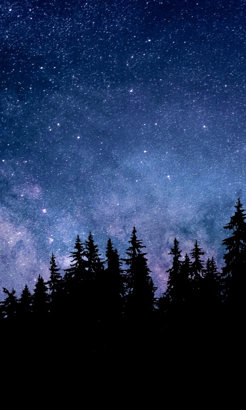 Night Wallpaper 4K, Starry sky, Forest, Silhouette