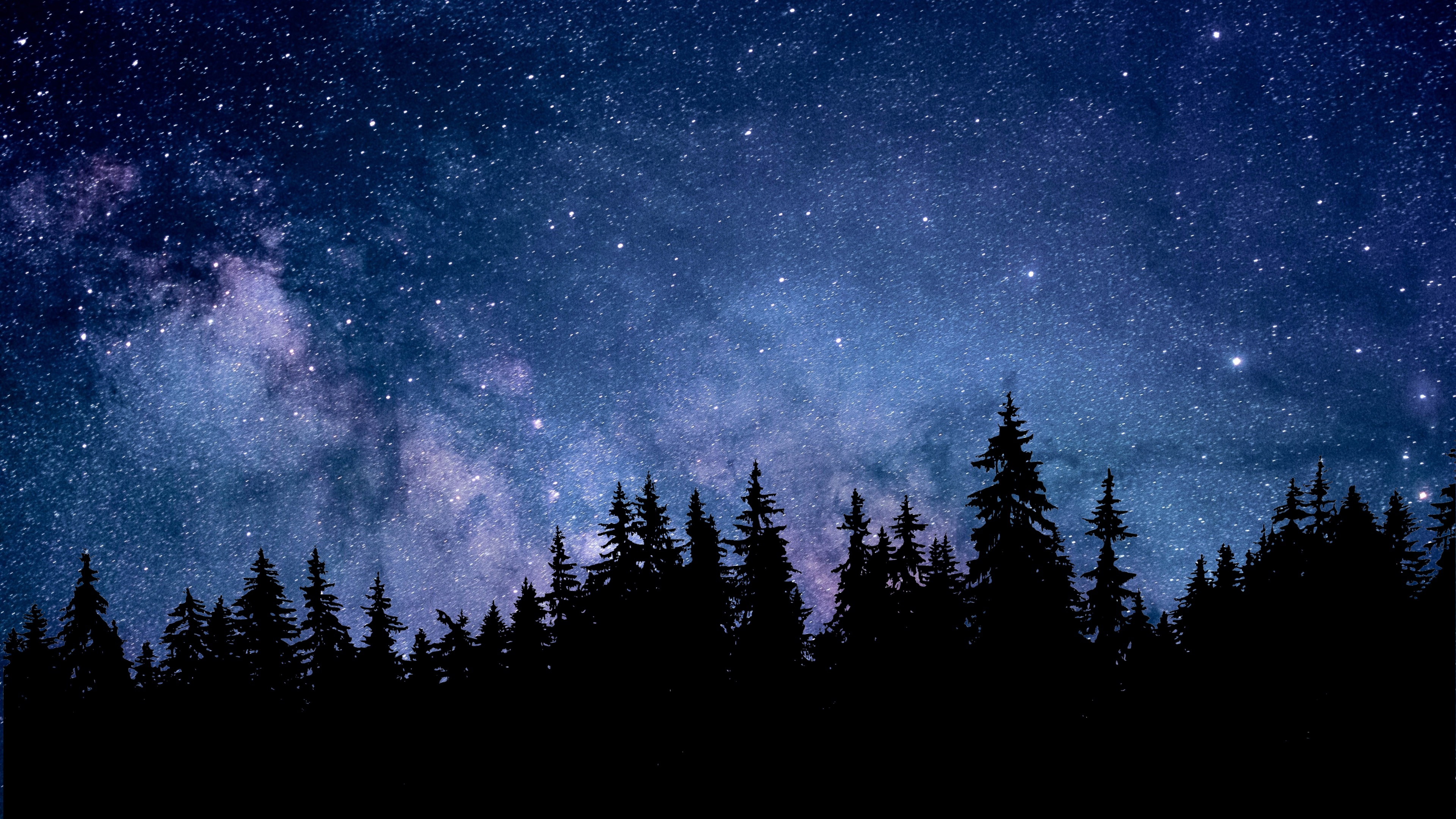 Night Wallpaper 4K, Starry sky, Forest, Nature, #1679