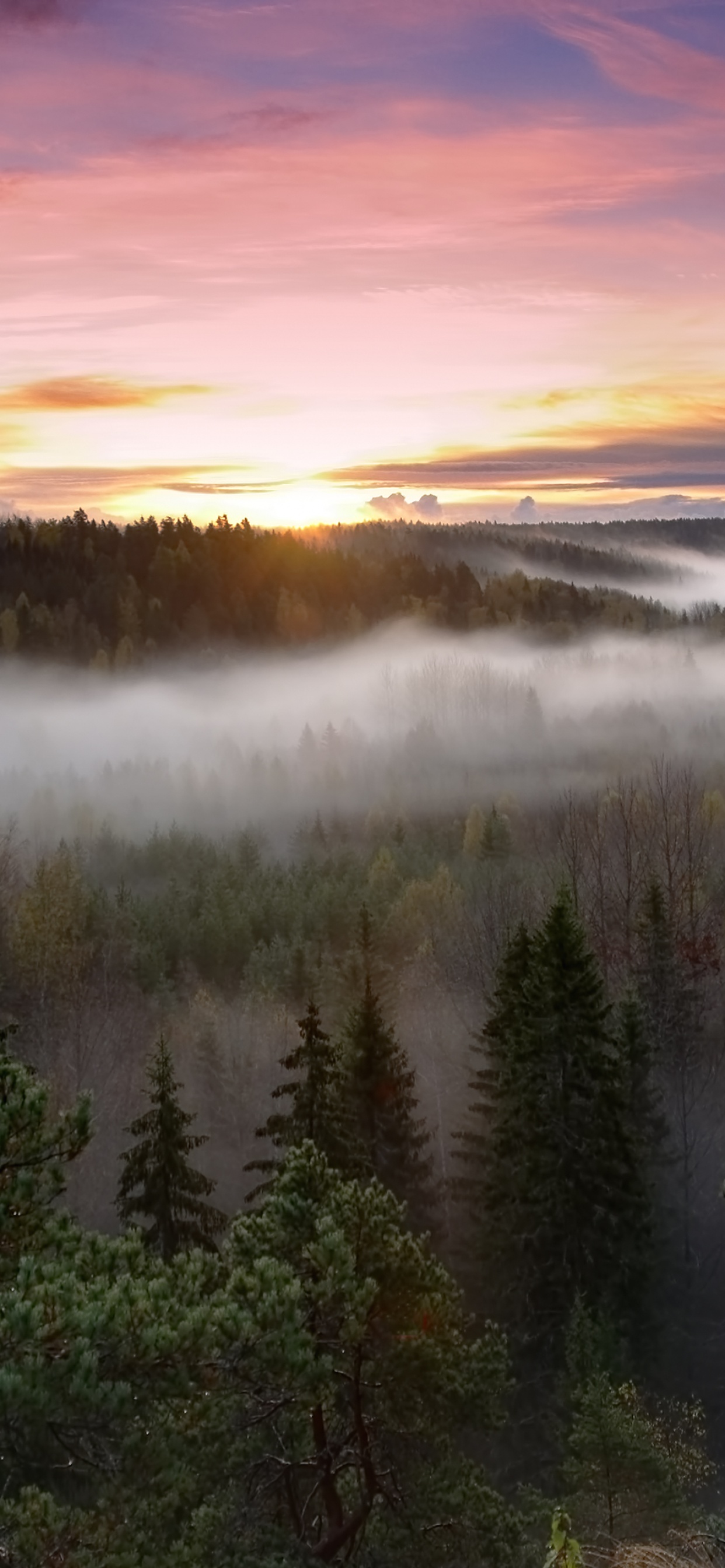 Noux National Park Wallpaper 4K, Finland, Sunrise, Fog, Forest