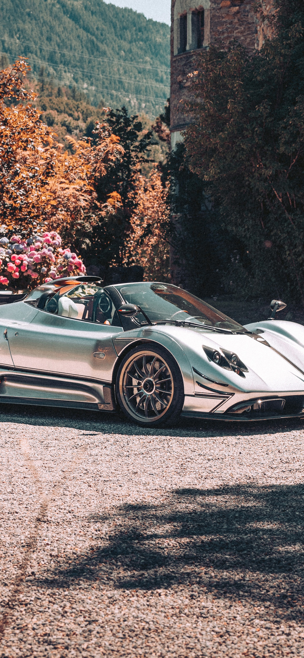 Pagani Pictures  Download Free Images on Unsplash