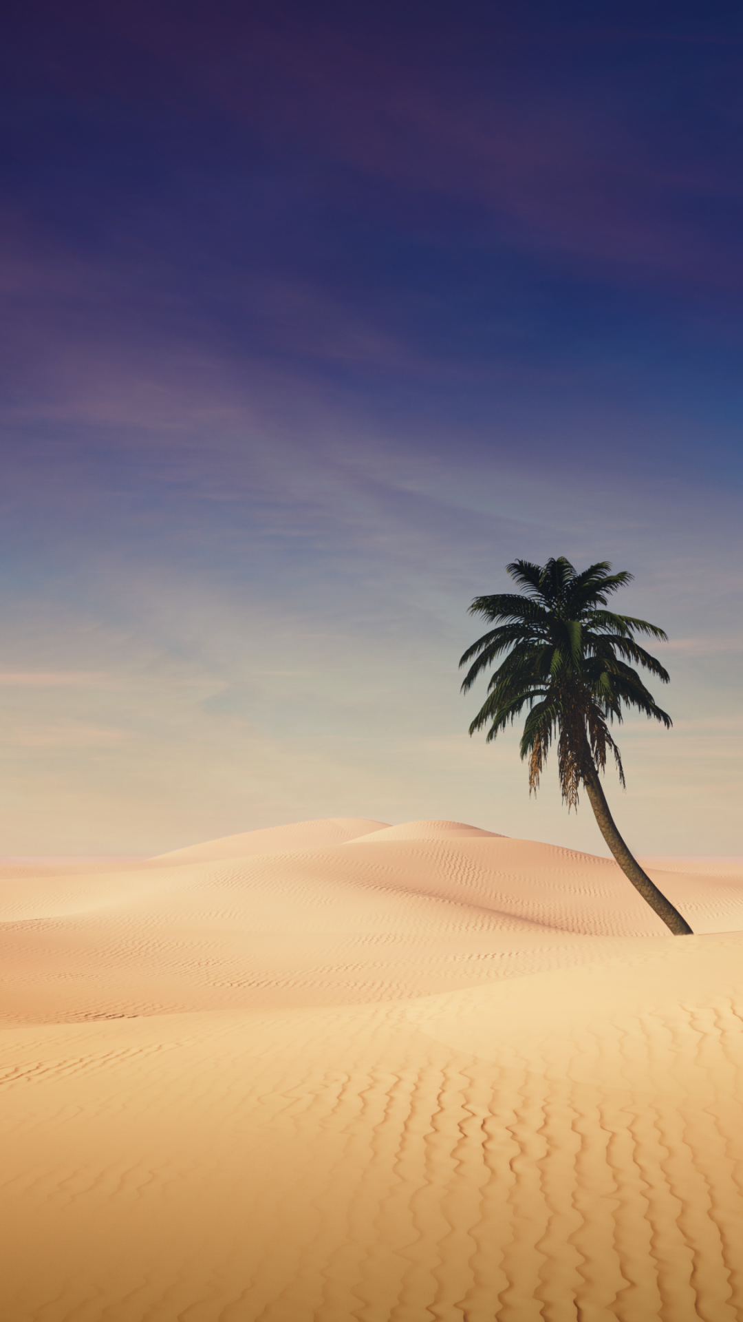 Palm Tree Wallpaper 4k Desert Sand Dunes Clear Sky Shadow Sunny