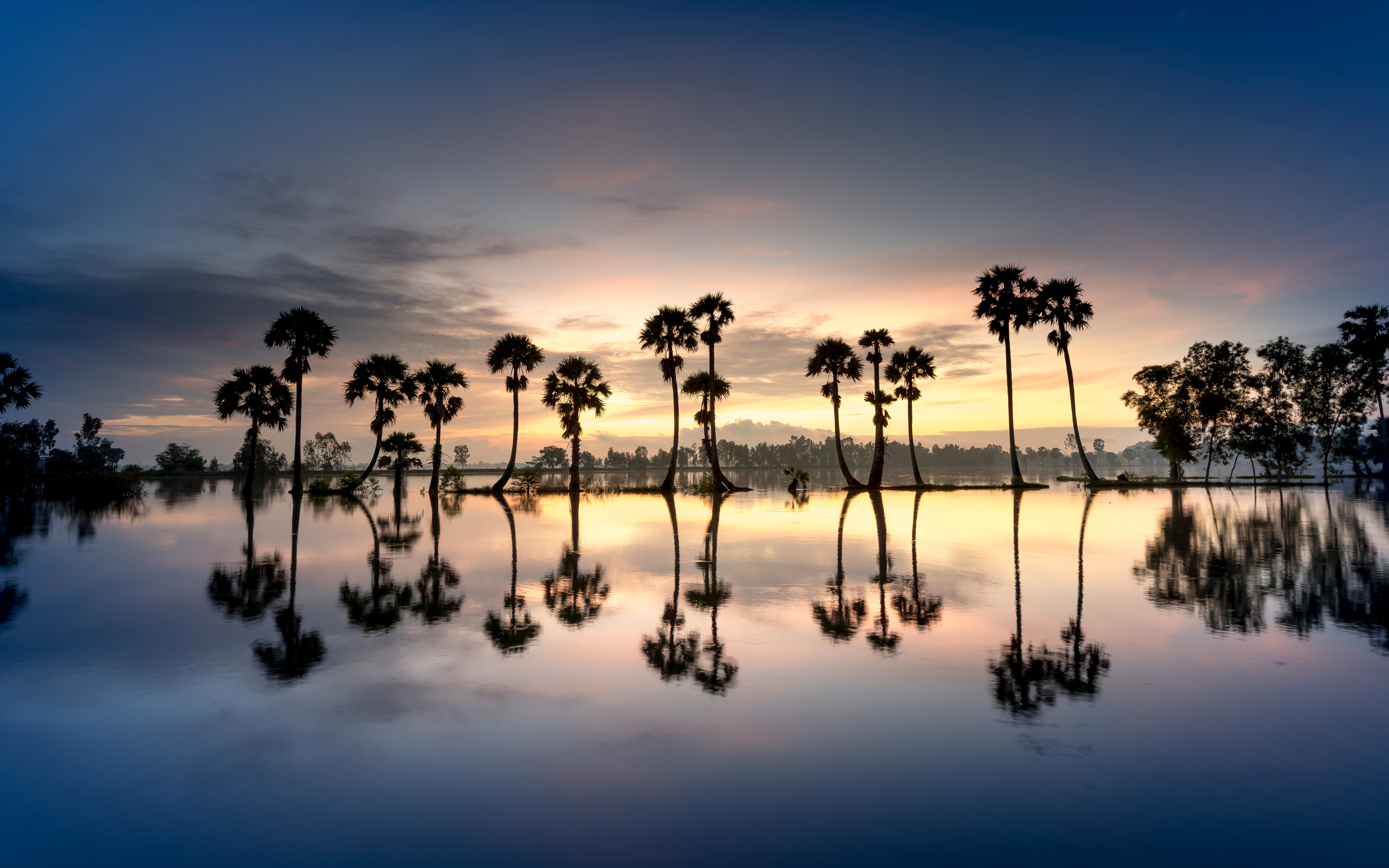 Florida Beach Sunset Wallpapers  Top Free Florida Beach Sunset Backgrounds   WallpaperAccess