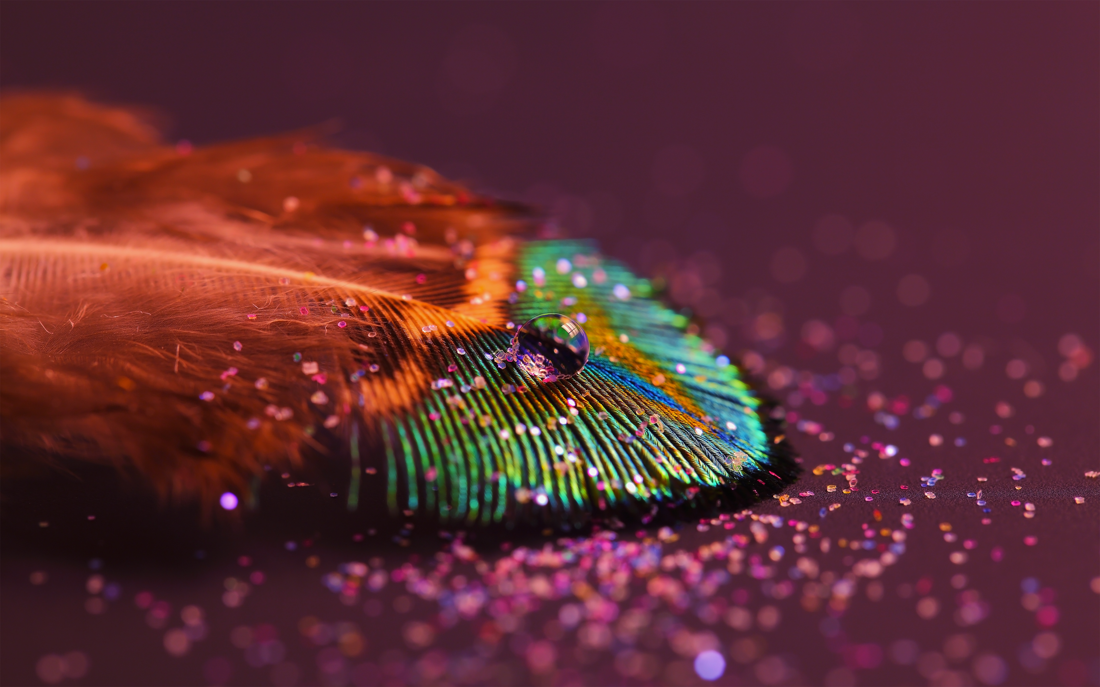 Peacock feather Wallpaper 4K, Aesthetic, Water drop, Photography, #4367