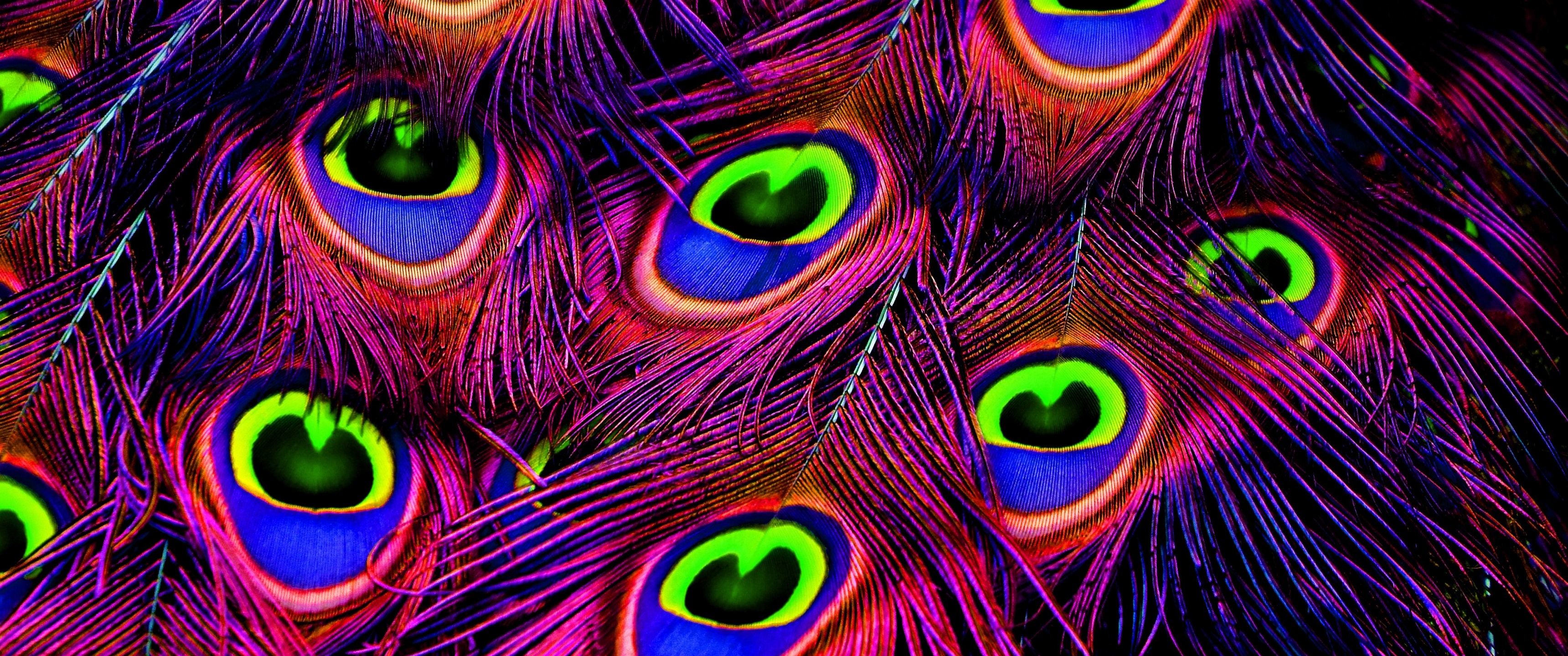 Download Peacock, Feathers, Colorful, Plumage, Wallpaper - Peacock Feather  Wallpaper Hd For Mobile for des… | Feather wallpaper, Peacock wallpaper,  Peacock pictures