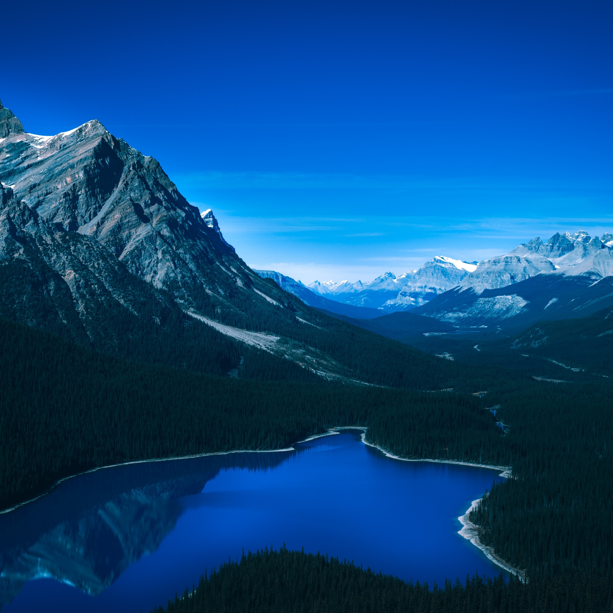 Peyto Lake Wallpaper 4k Banff National Park Canada
