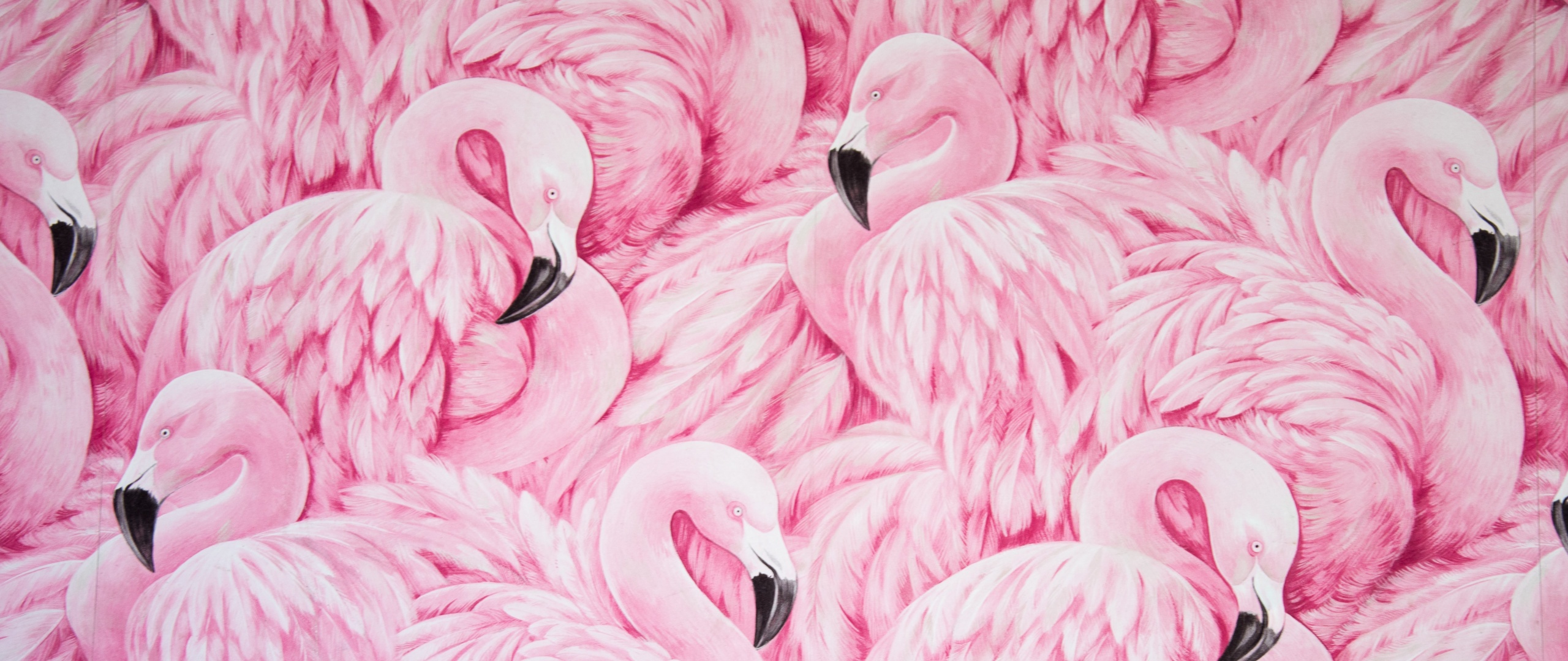 48493 Flamingo Wallpaper Images Stock Photos  Vectors  Shutterstock