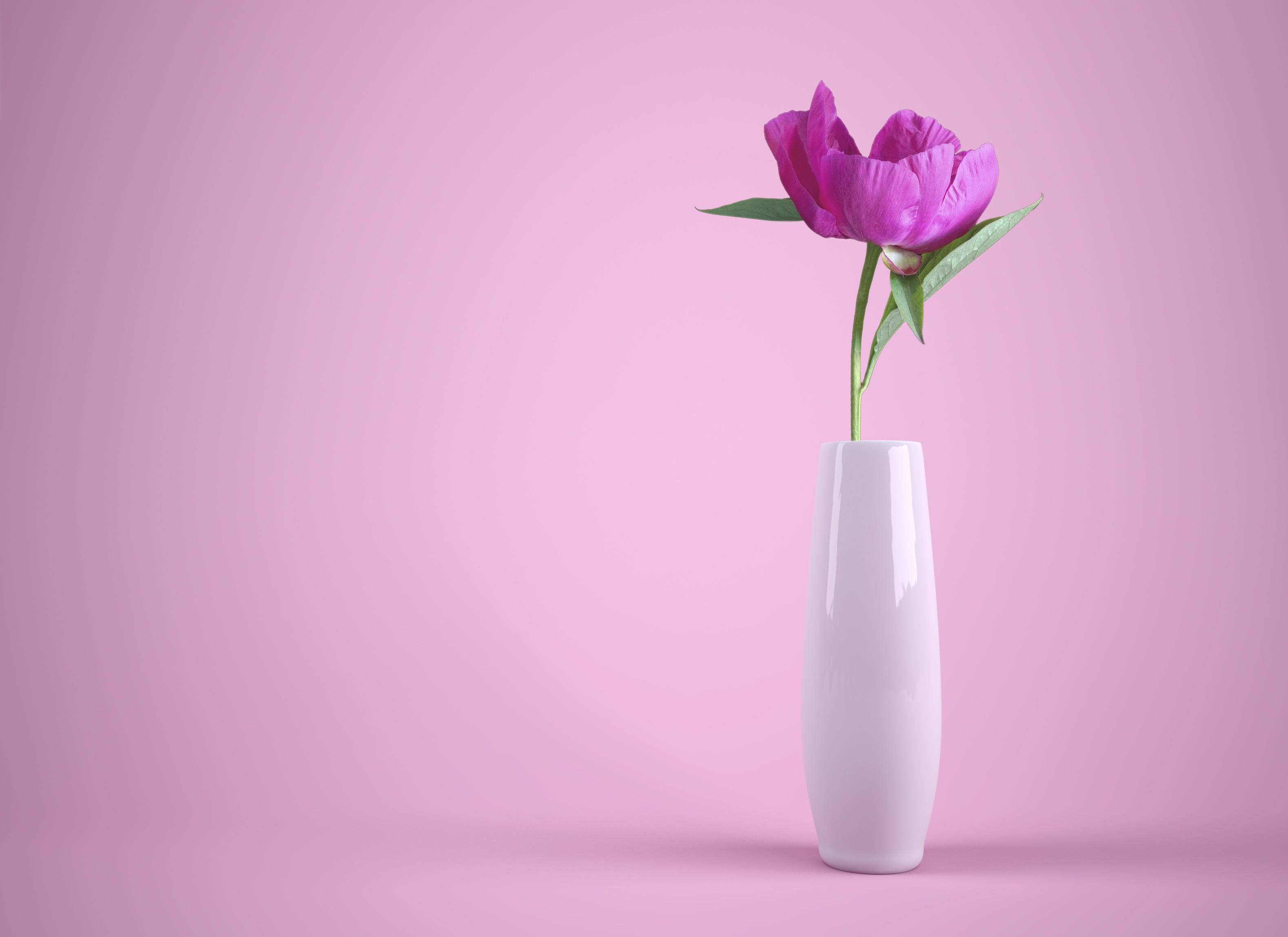 Pink flower Wallpaper 4K, Flower vase, Baby pink, Flowers, #894
