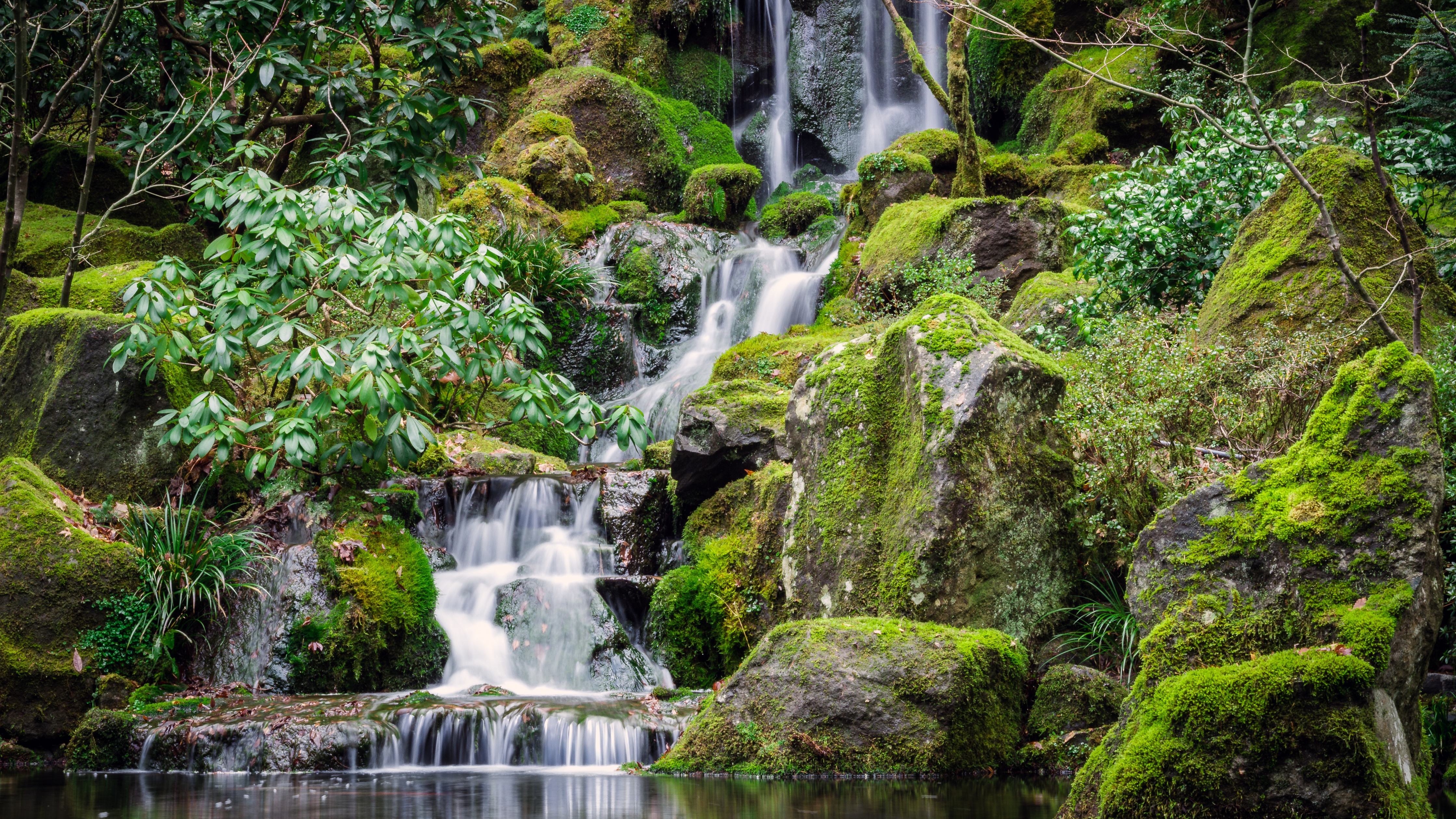 Portland Japanese Gardens Wallpaper 4K, Waterfalls, Green Moss, Nature,  #3845