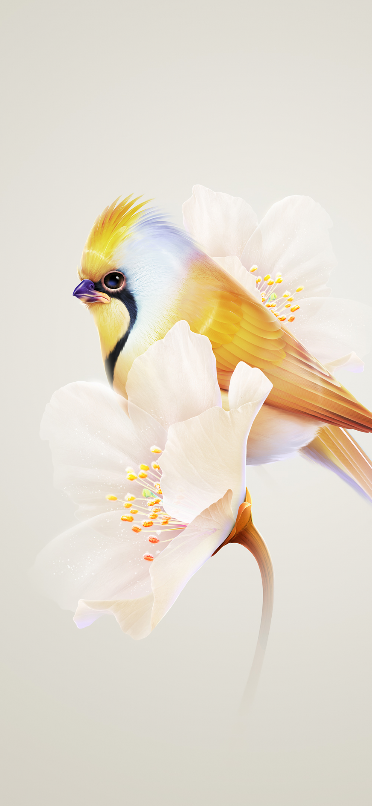 Cute Yellow Bird Wallpaper for iPhone 11