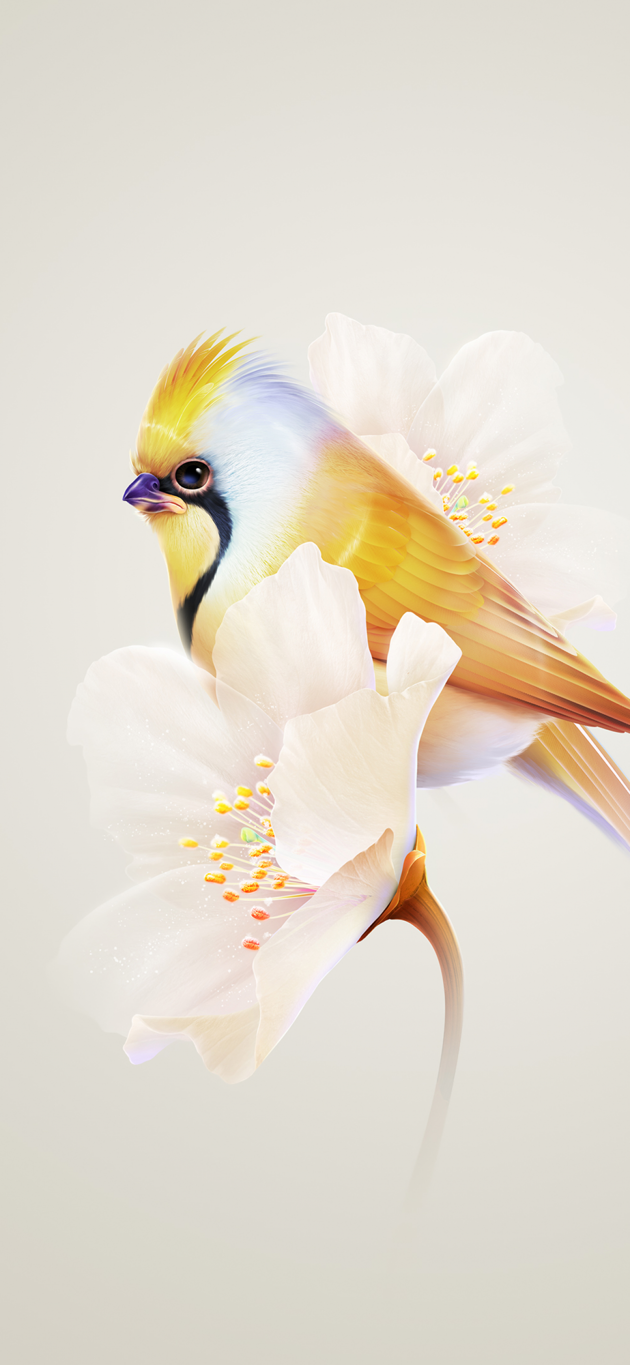 Birds Pair Feeders On Pink Flower Wallpaper For Desktop  Wallpapers13com
