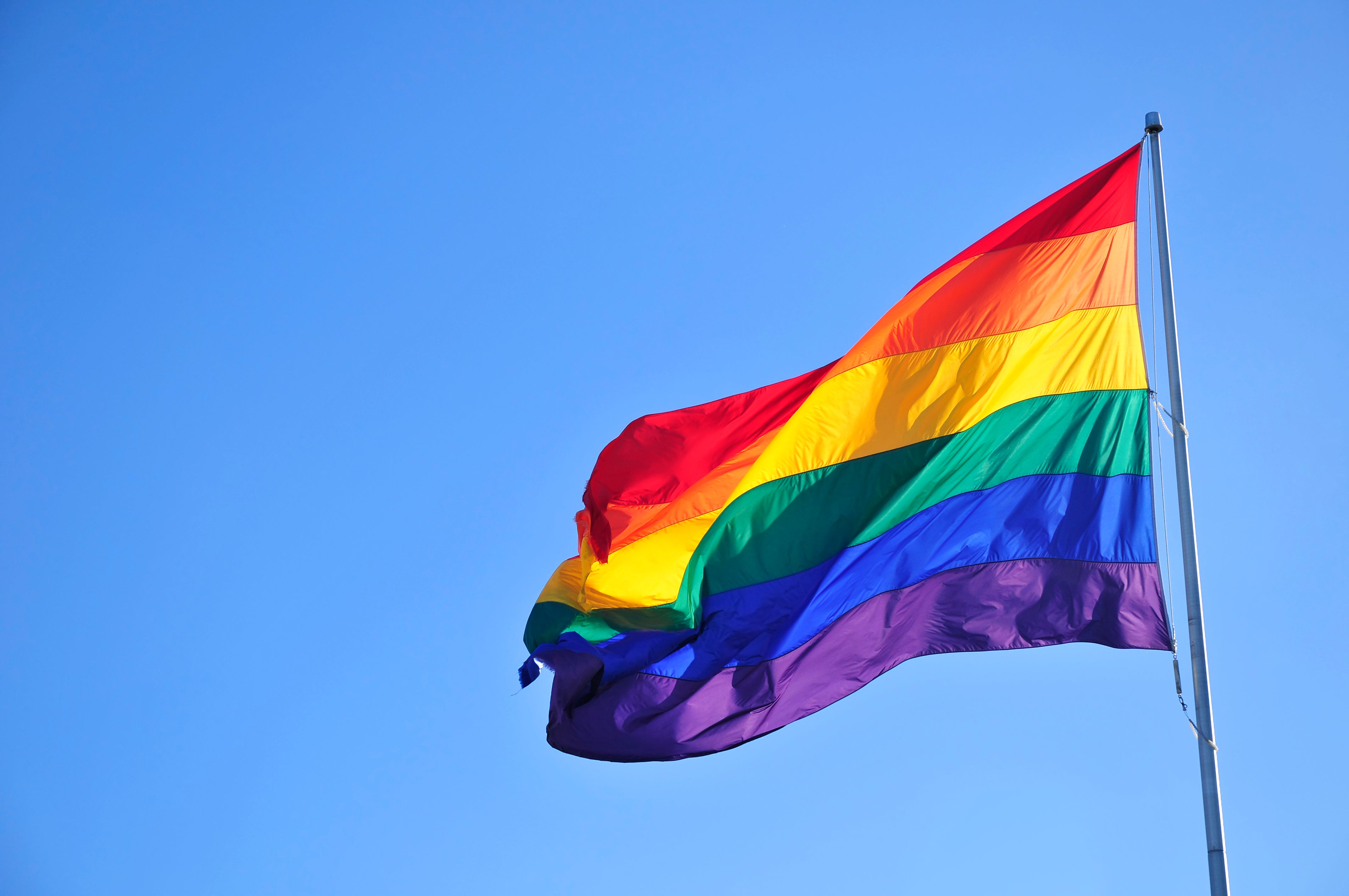Pride flags. Флаги прайдов ЛГБТ. Радужный флаг ЛГБТ. ЛГБТ флаг 510 200. Фон Радуга ЛГБТ.