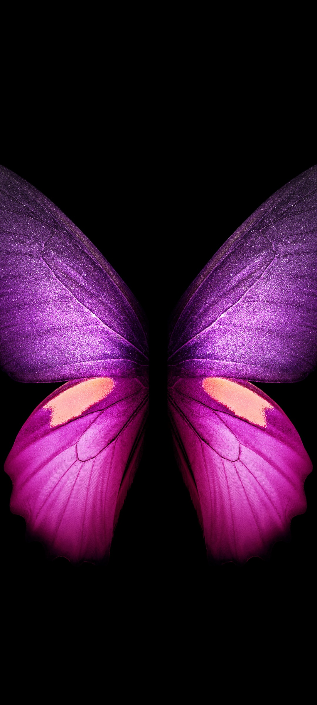 Purple Butterfly 4K Wallpaper, Wings, Black background ...