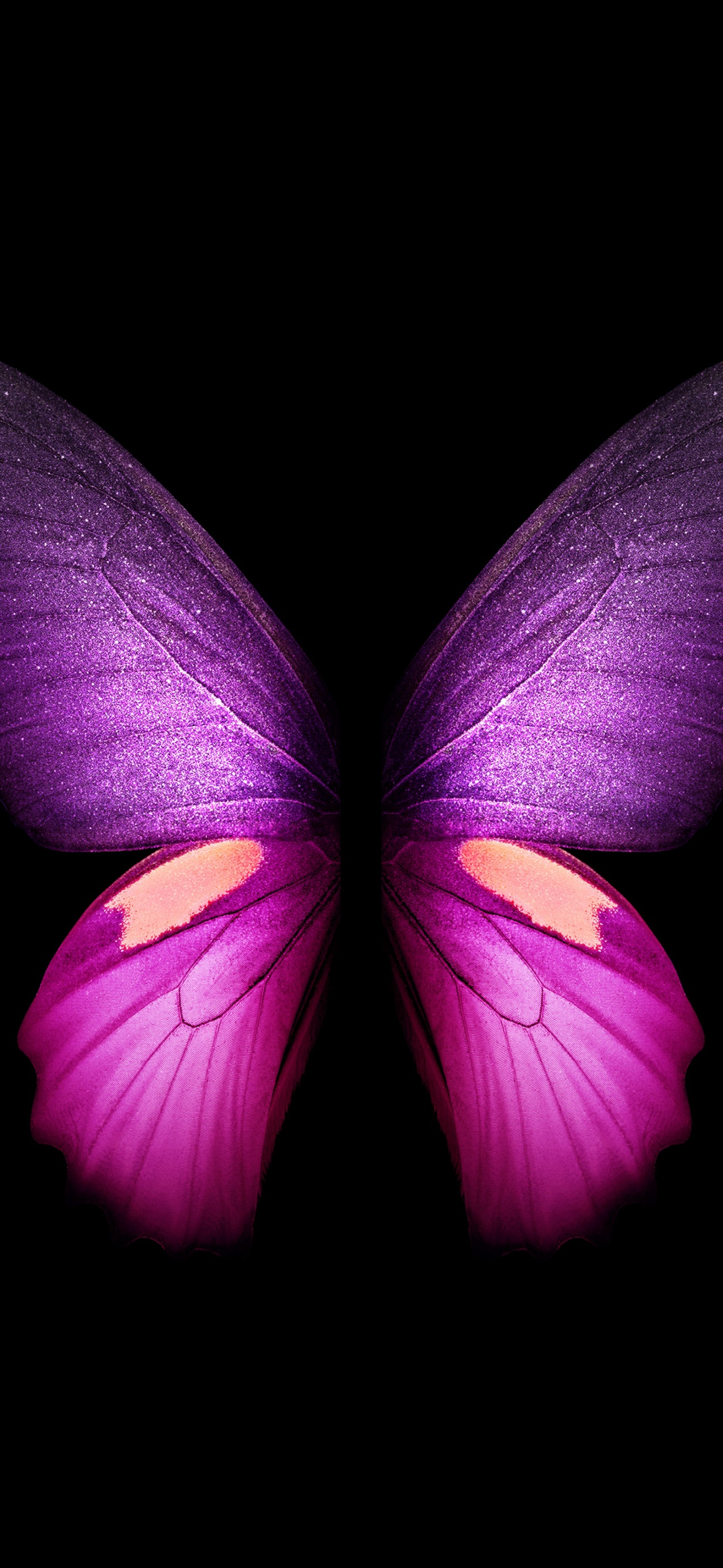 Butterfly iphone HD wallpapers  Pxfuel