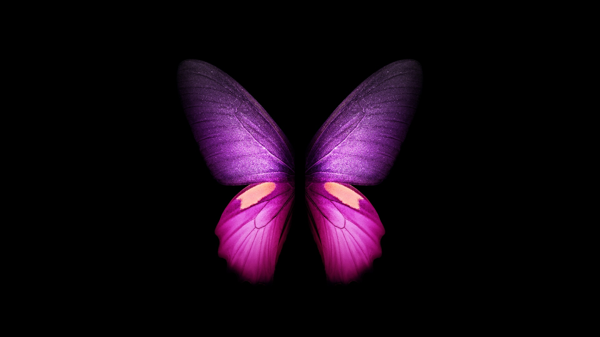 Purple Butterfly Wallpaper 4K, Wings, Black background, Graphics CGI, #2361