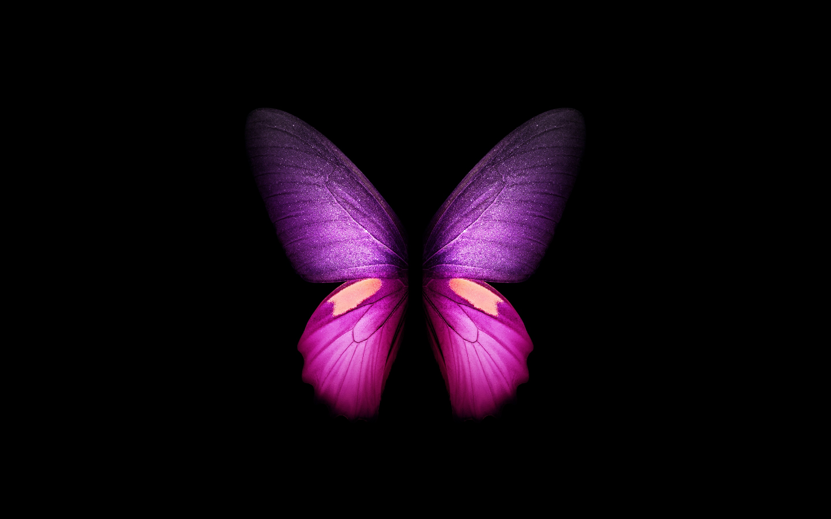 Hình nền bướm màu tím 4K, cánh, nền đen, đồ họa... sẽ làm cho màn hình của bạn trở nên sống động và chân thực hơn. Với độ phân giải cao và đồ họa tuyệt vời, hình nền này sẽ mang lại cho bạn trải nghiệm thực sự tuyệt vời.