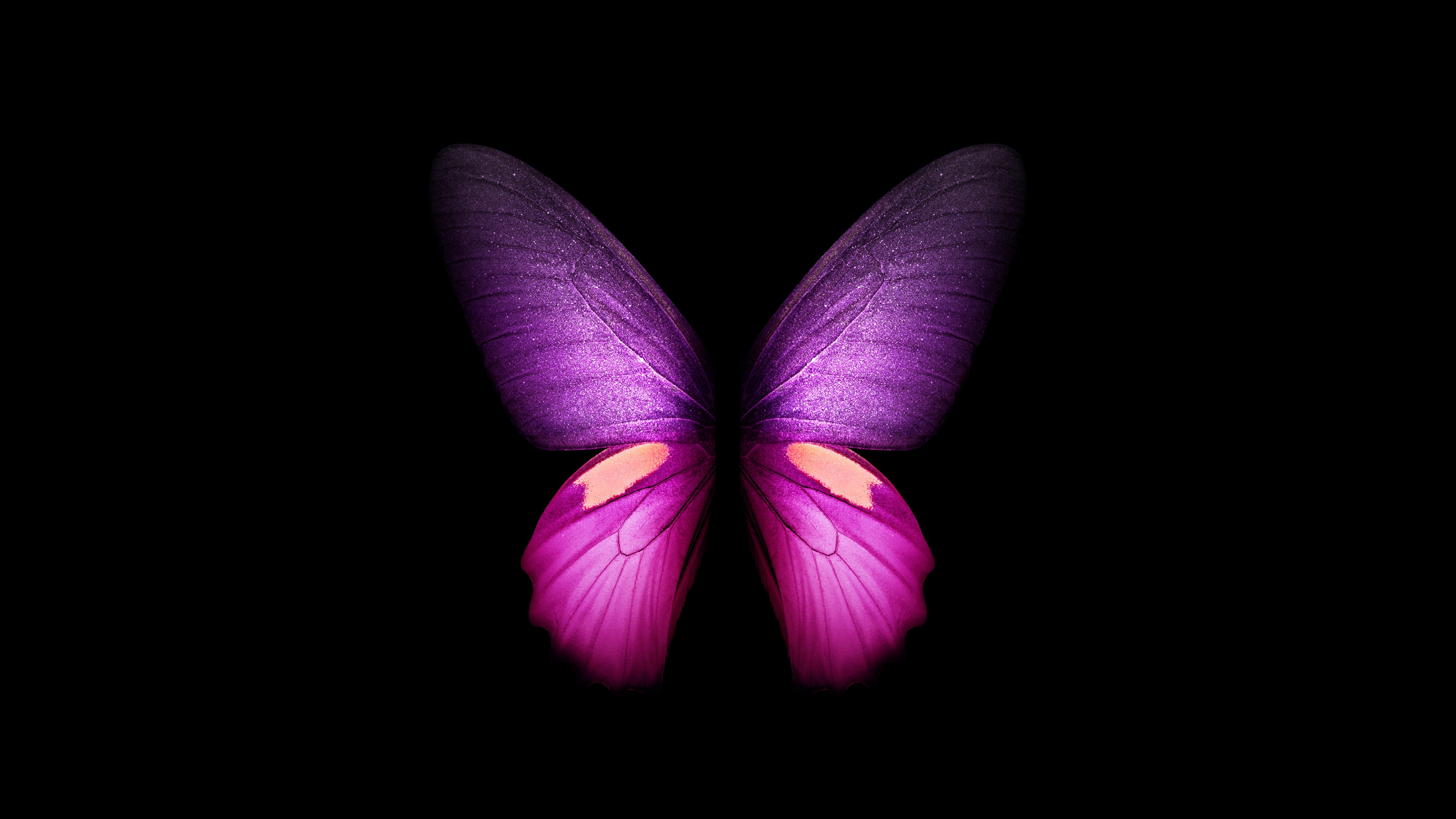 Top 57+ cute purple butterfly wallpaper latest - in.cdgdbentre