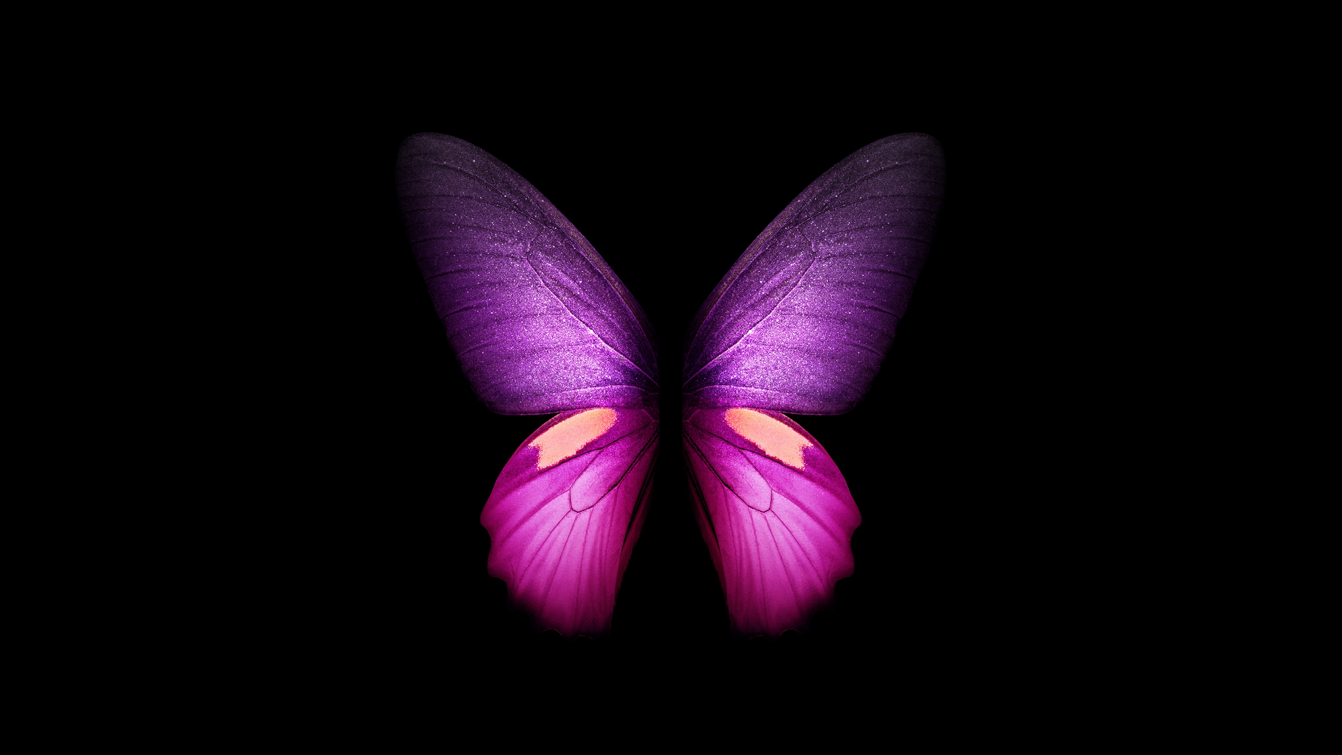 Purple Butterfly Wallpaper 4K, Wings, Black background, Graphics CGI, #2361