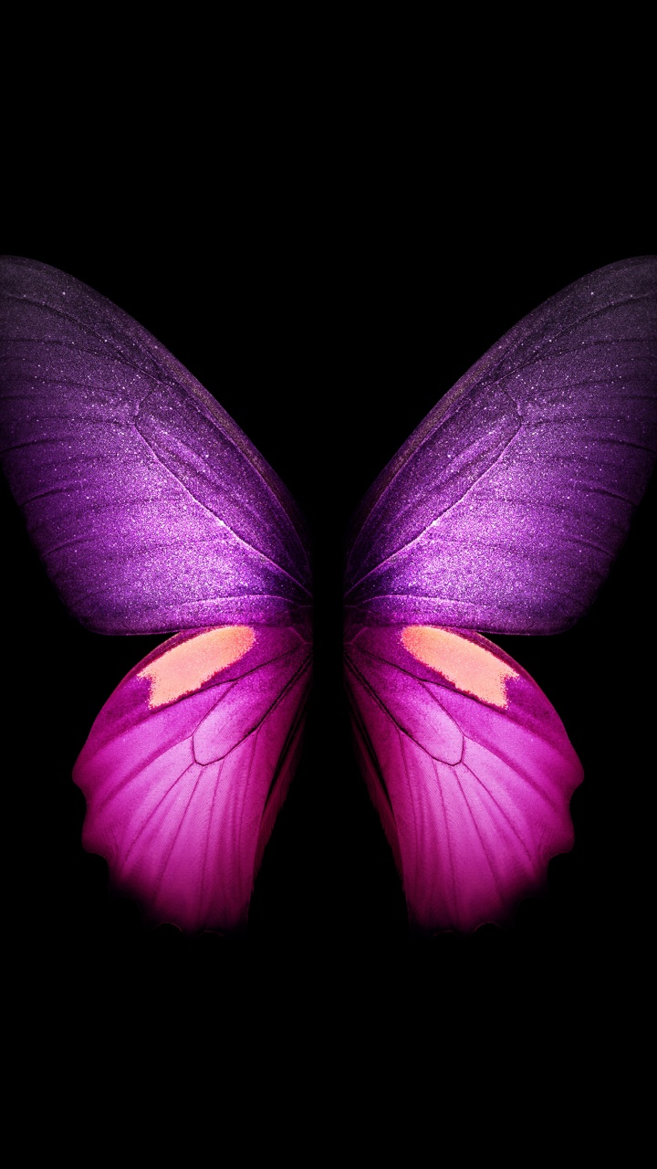Purple Butterfly 4K Wallpaper, Wings, Black background