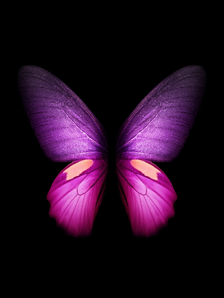 Purple Butterfly 4K Wallpaper, Wings, Black background, Samsung Galaxy