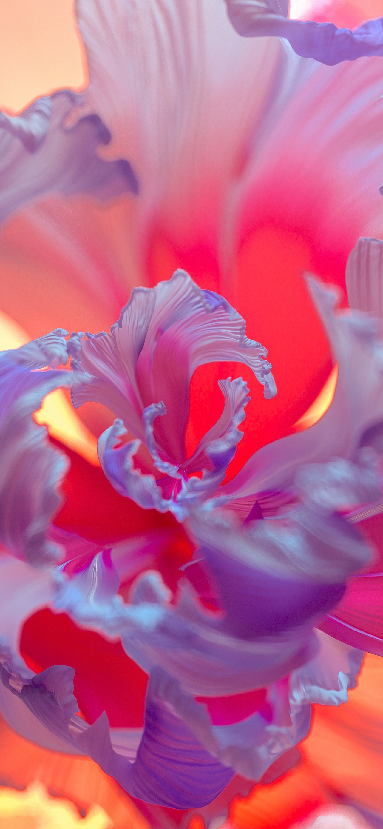 Hoa tím là loài hoa rất đẹp và dễ trồng. Hãy cùng ngắm nhìn vẻ đẹp tuyệt vời của hoa tím trong hình ảnh liên quan.