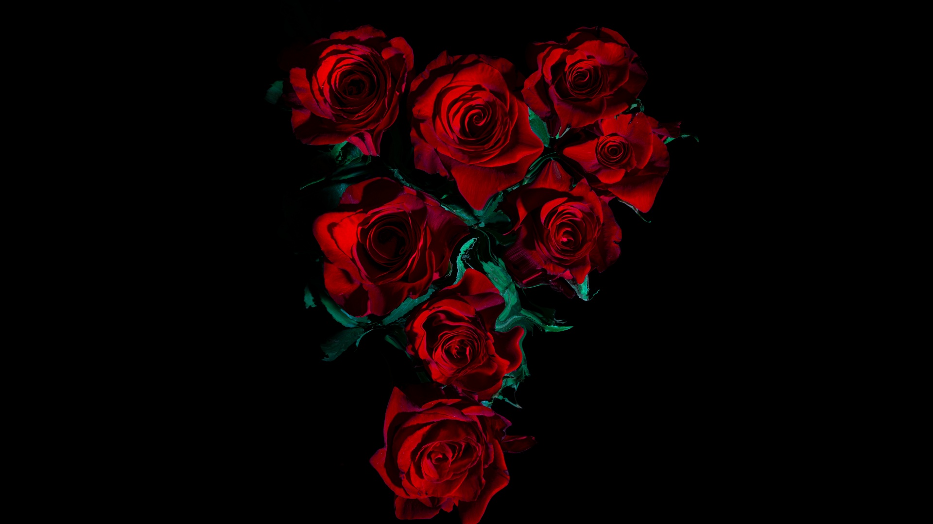 red rose flower-beautiful flowers hd wallpaper Preview | 10wallpaper.com