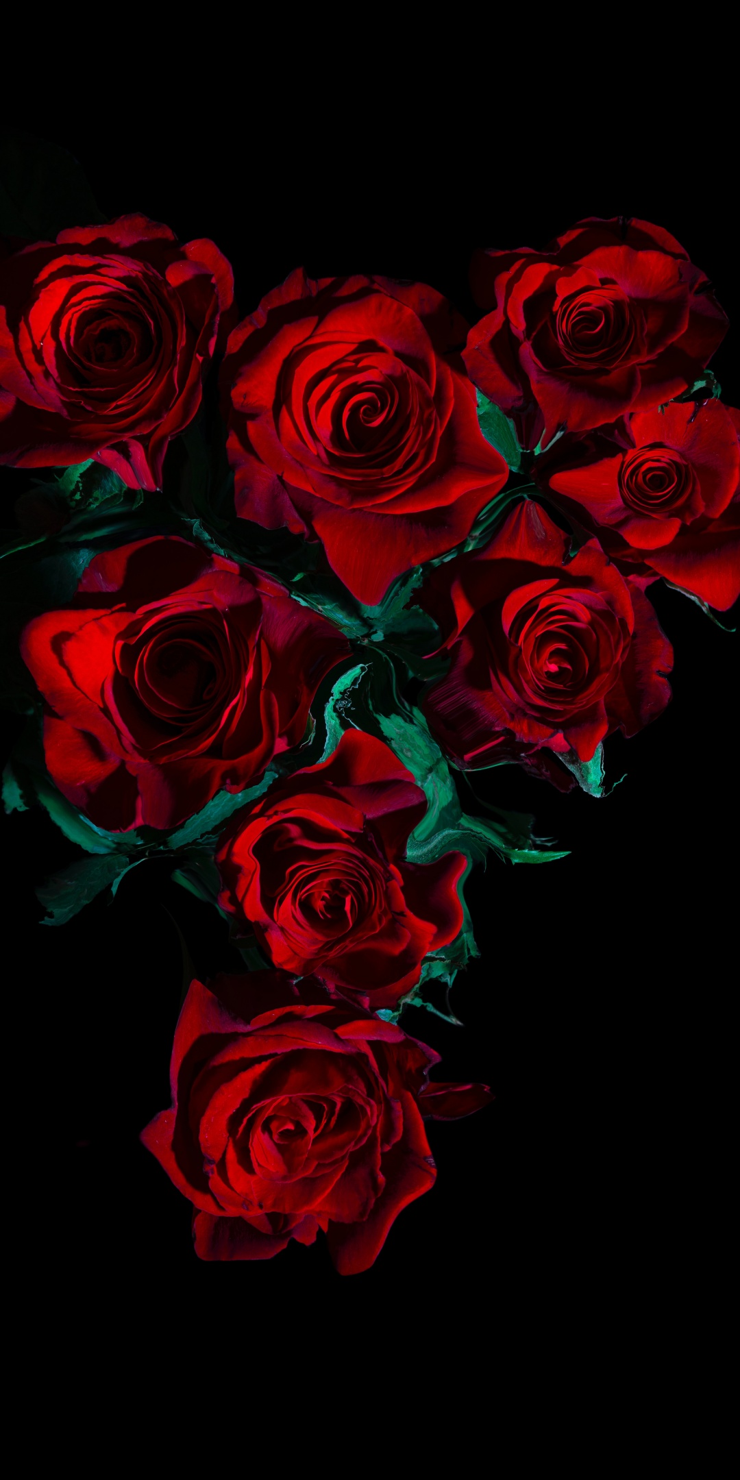 Isnt it aesthetic amazing redrose rose HD phone wallpaper  Peakpx