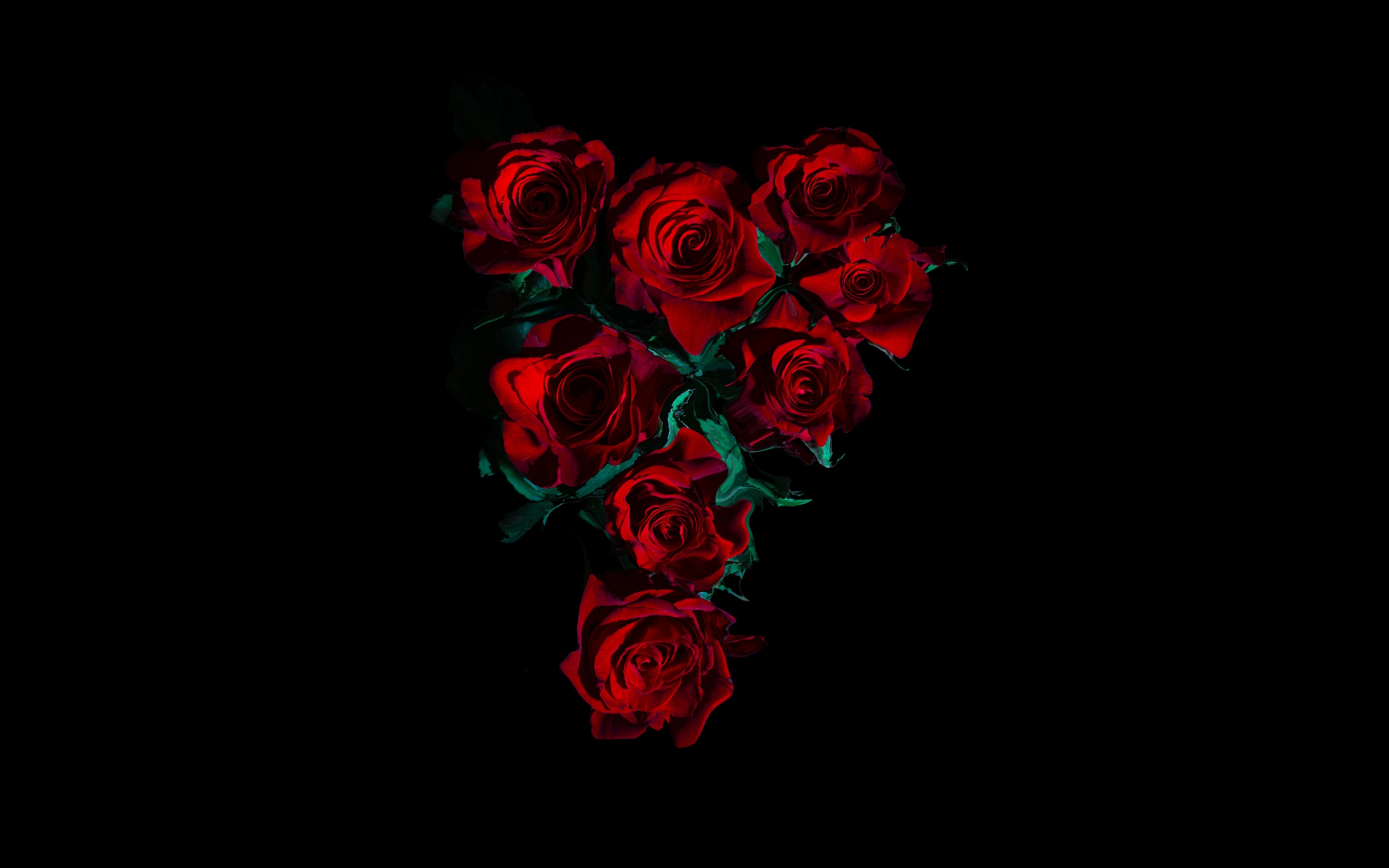 Premium Photo | Beautiful red flower on black background