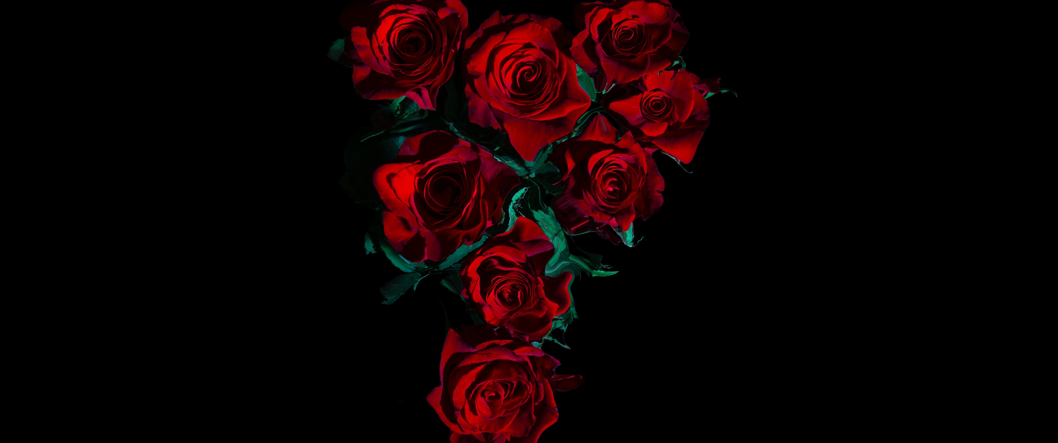Black Roses 4K Wallpapers  Top Free Black Roses 4K Backgrounds   WallpaperAccess