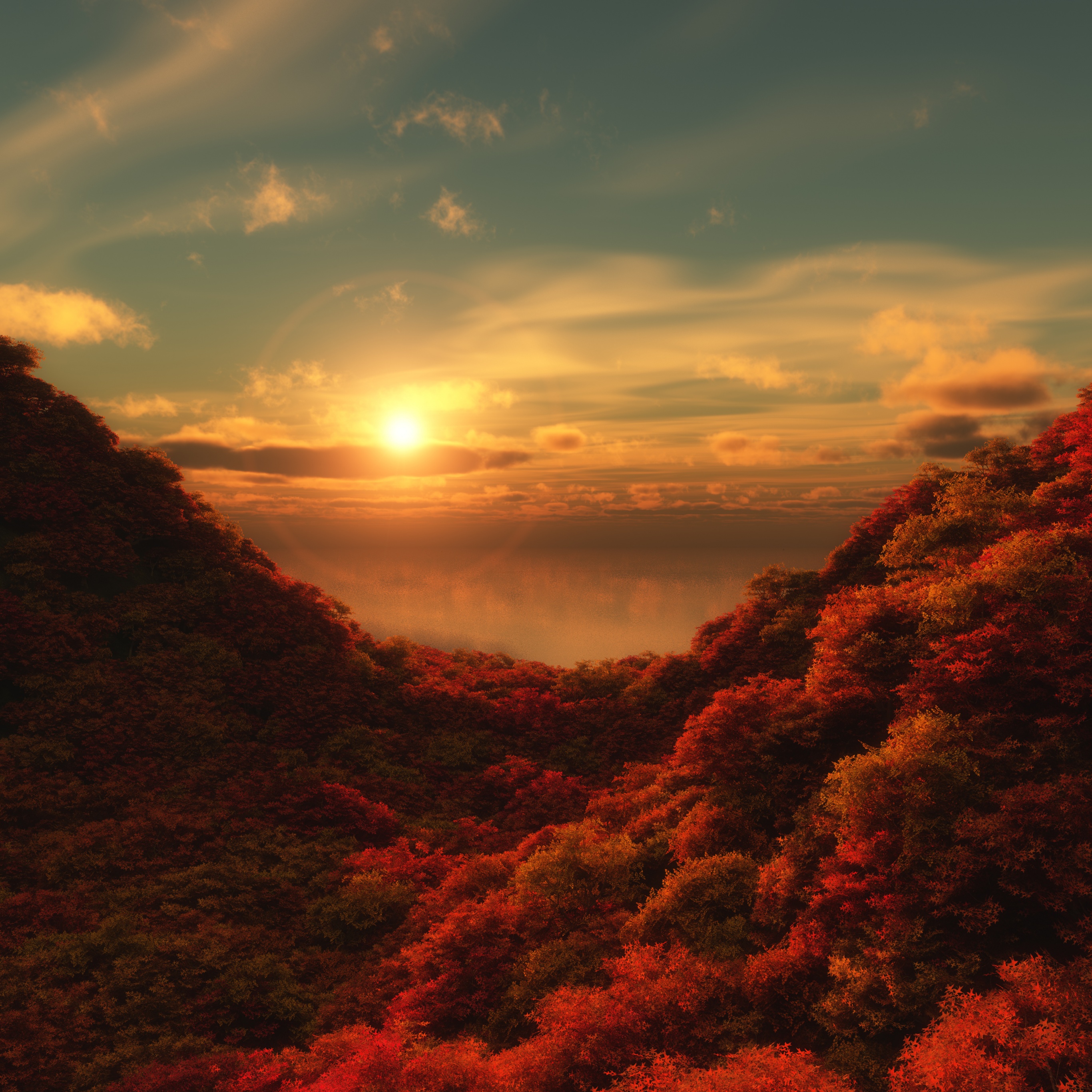 Red Trees Wallpaper 4K, Sunrise, Cloudy Sky, Nature, #3897