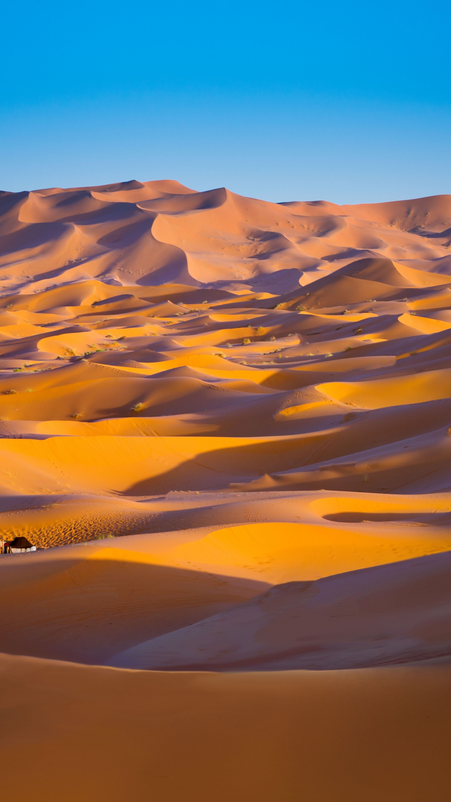 Night In The Desert iPhone Wallpaper  iDrop News