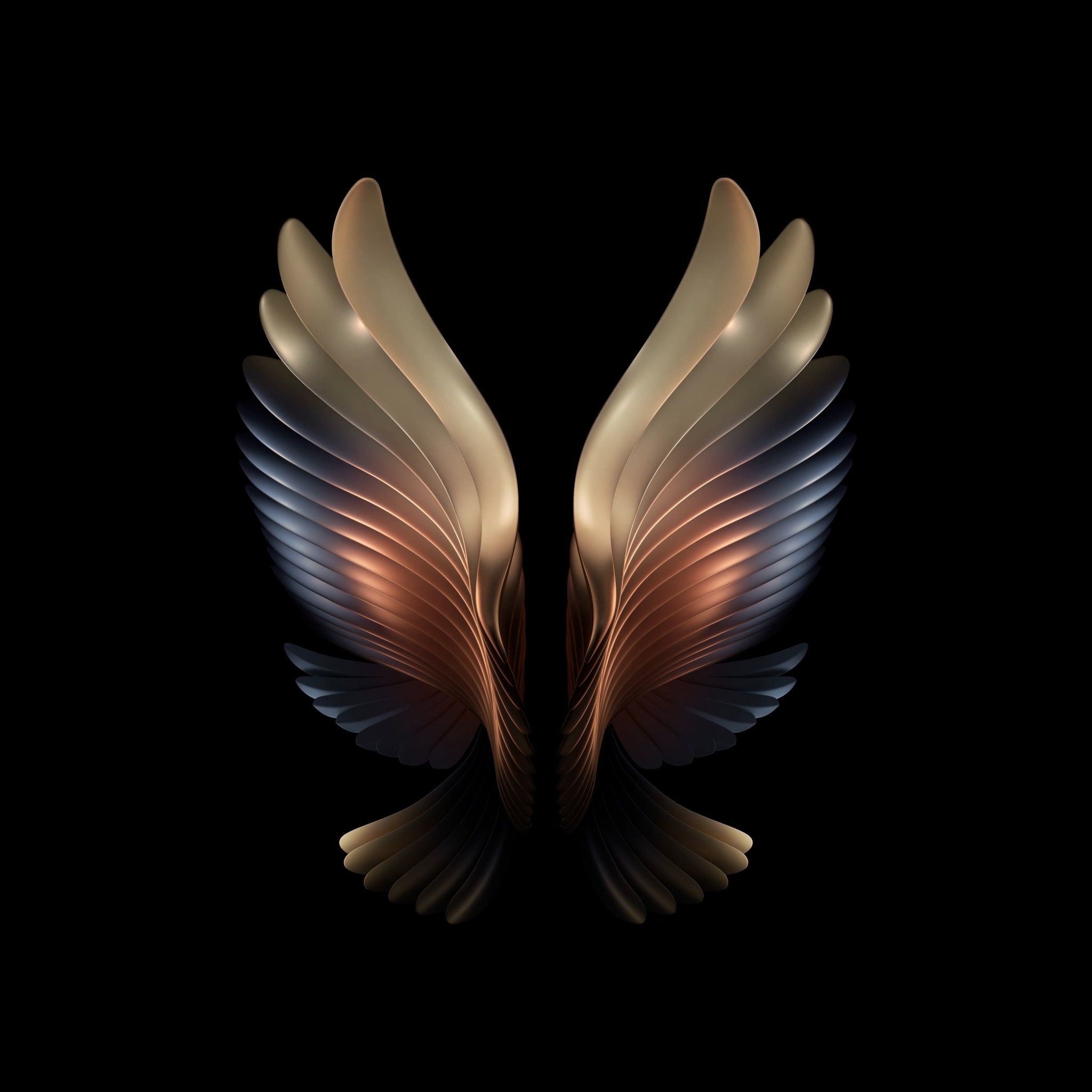 Aesthetic Wing Wallpaper 4K APK for Android Download