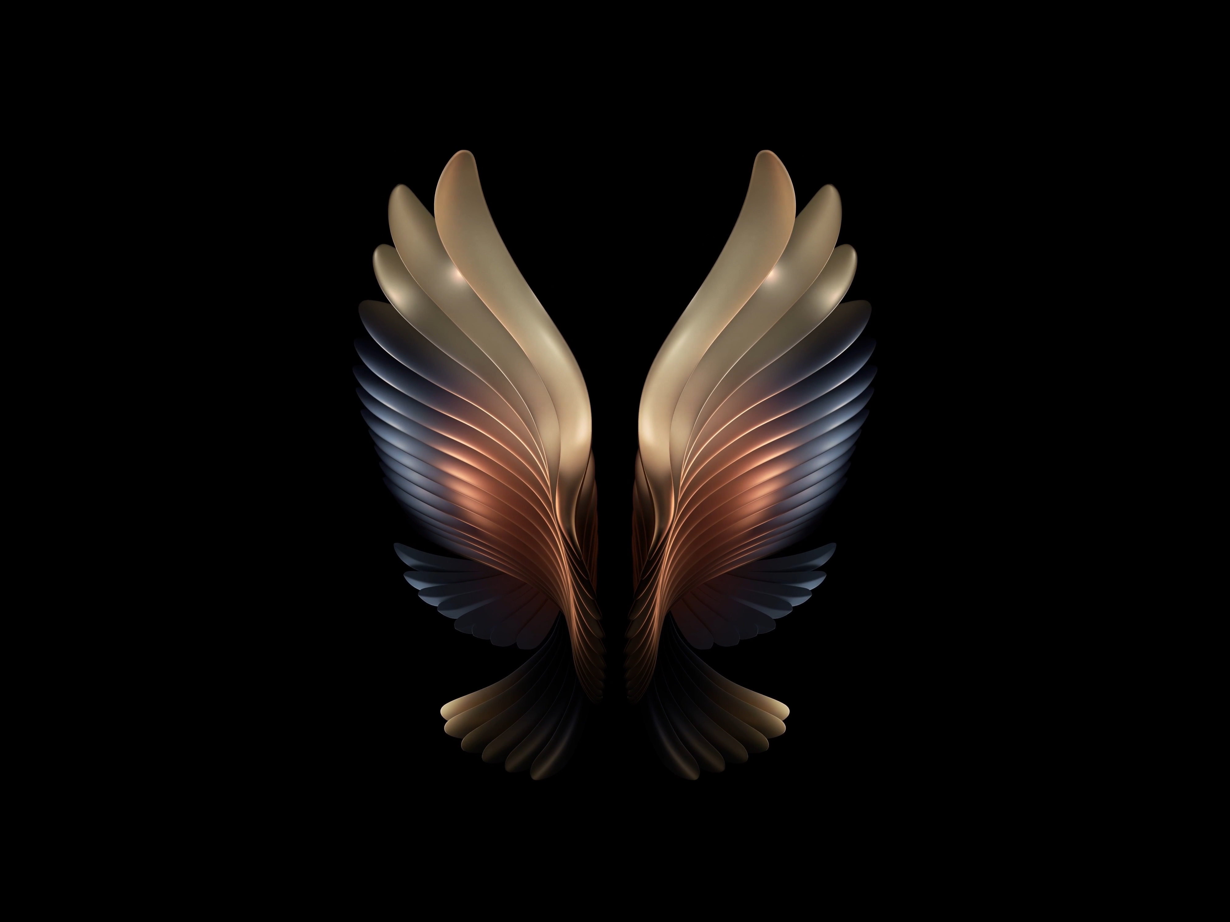 Wallpaper Wings Angel 3d Image Num 16