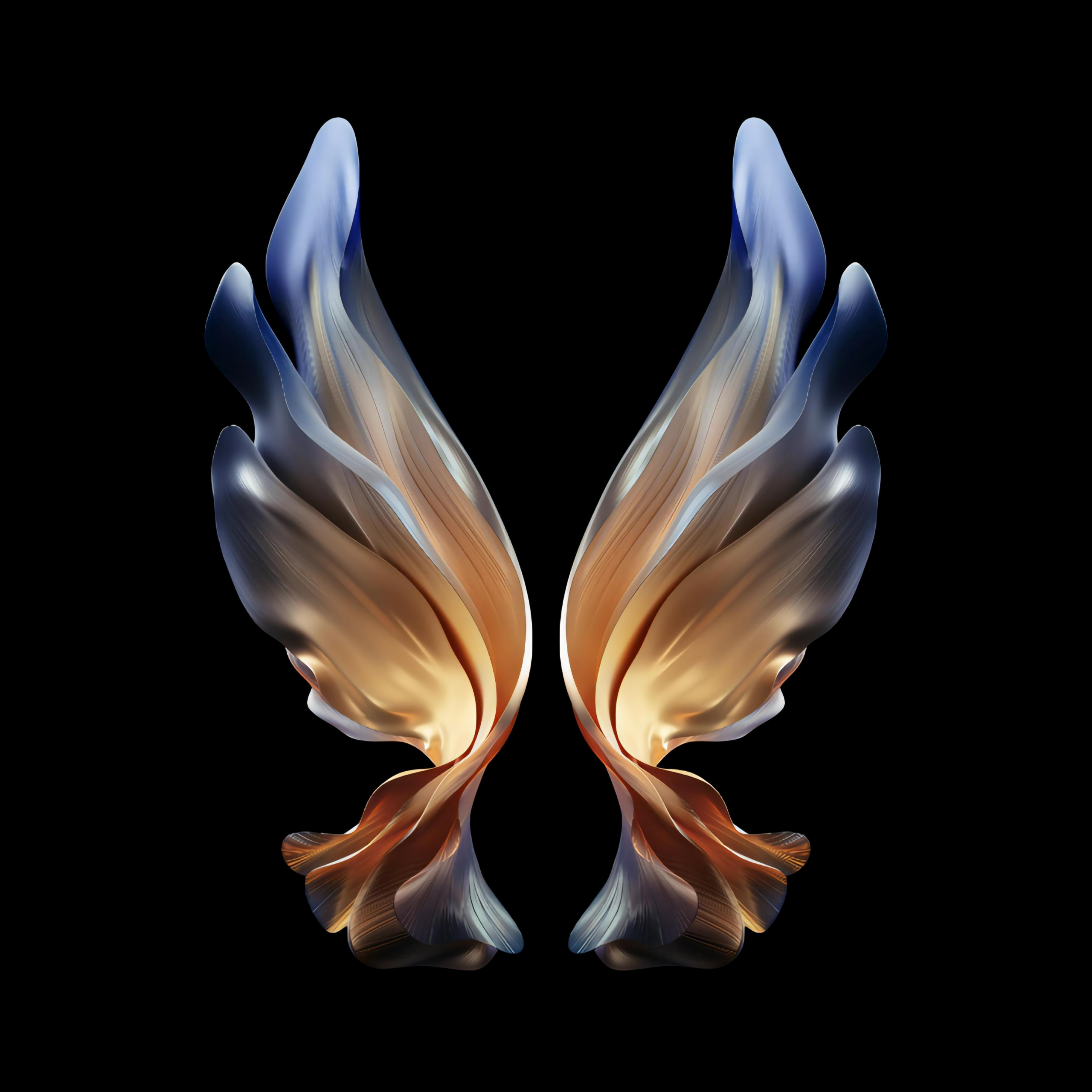 Samsung Galaxy W22 Wallpaper 4K, Wings, Black background, Abstract, #7003
