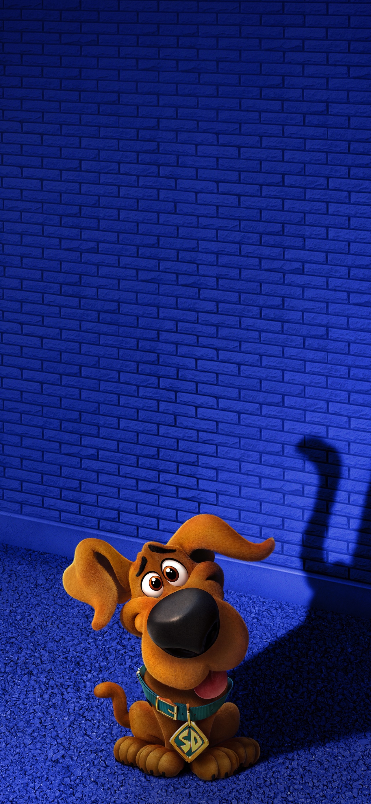 Scoob Wallpaper 4K, y-Doo, Animation, Movies, #558