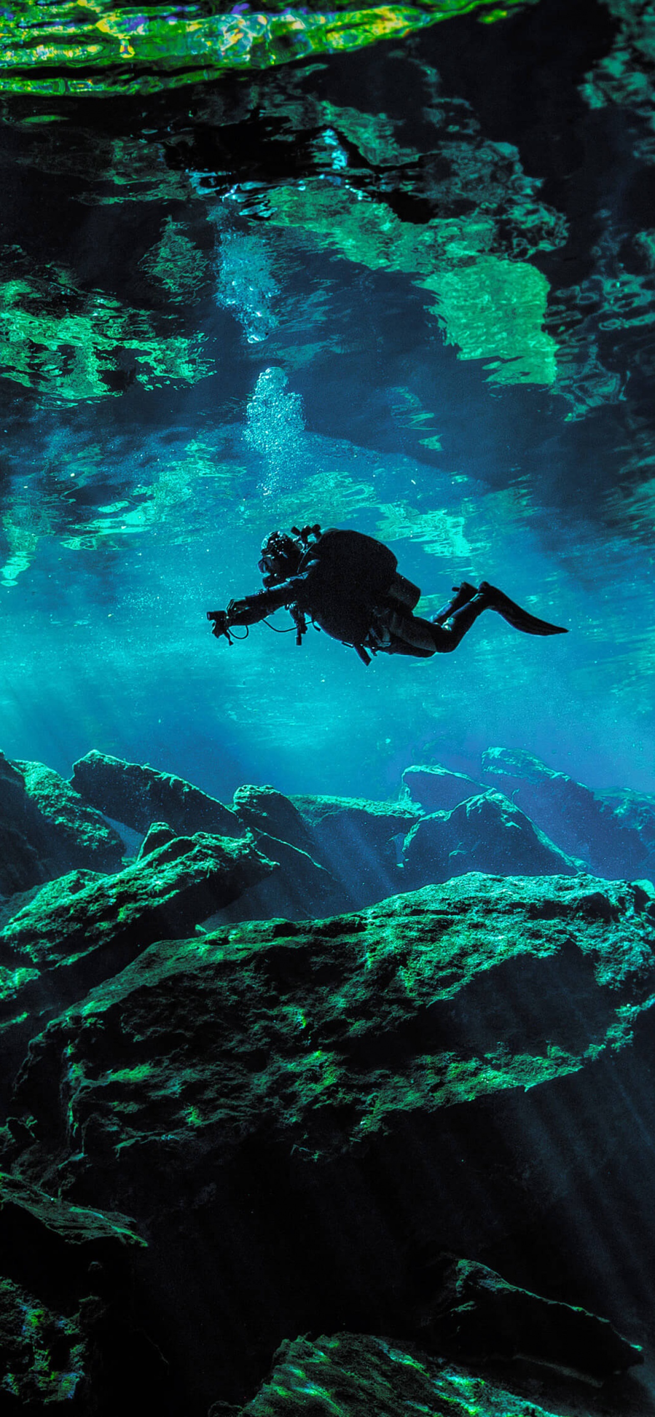 Scuba Diver Wallpaper 4K, Underwater, Nature, #8281