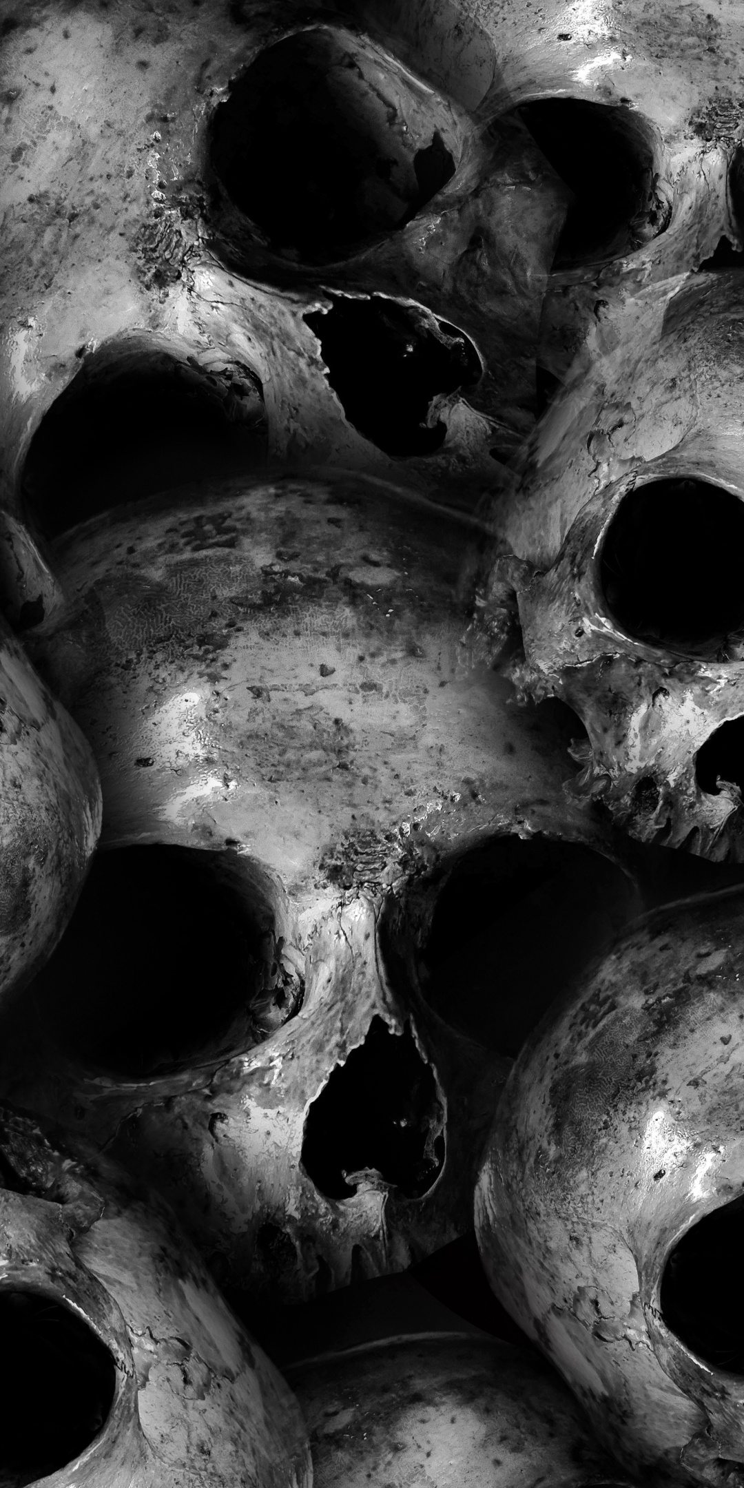 skulls wallpaper  scary monochrome  blackdark