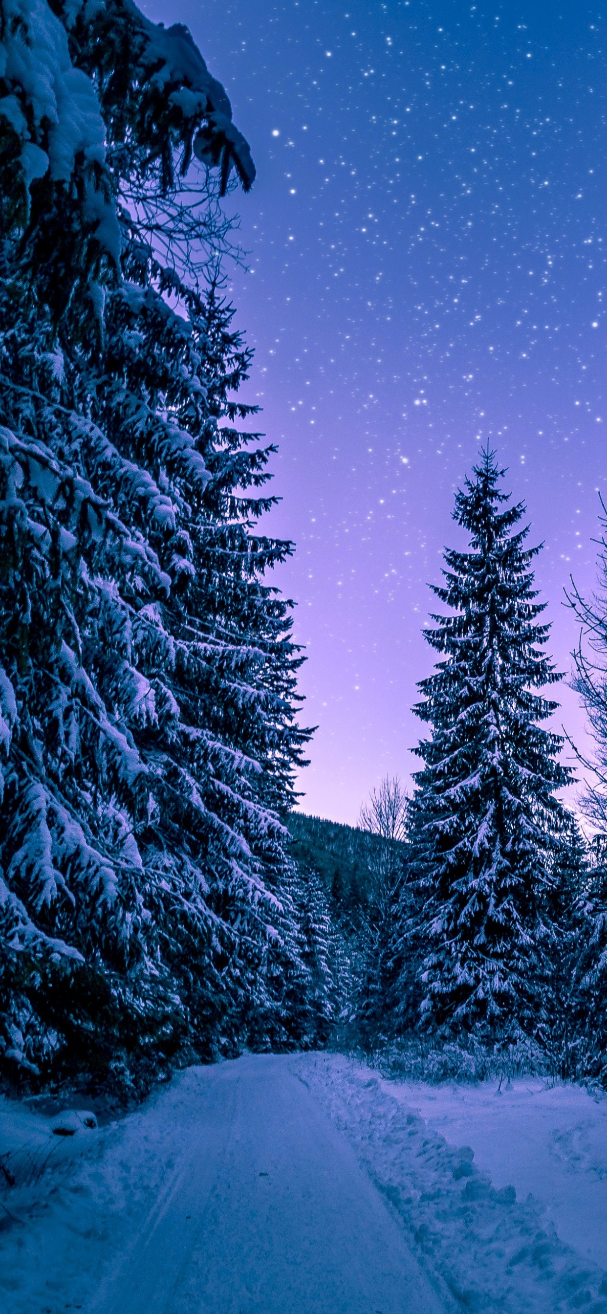 Snowy Trees Wallpaper 4k Winter Forest Frozen Snow Covered Night Sky Nature 5591